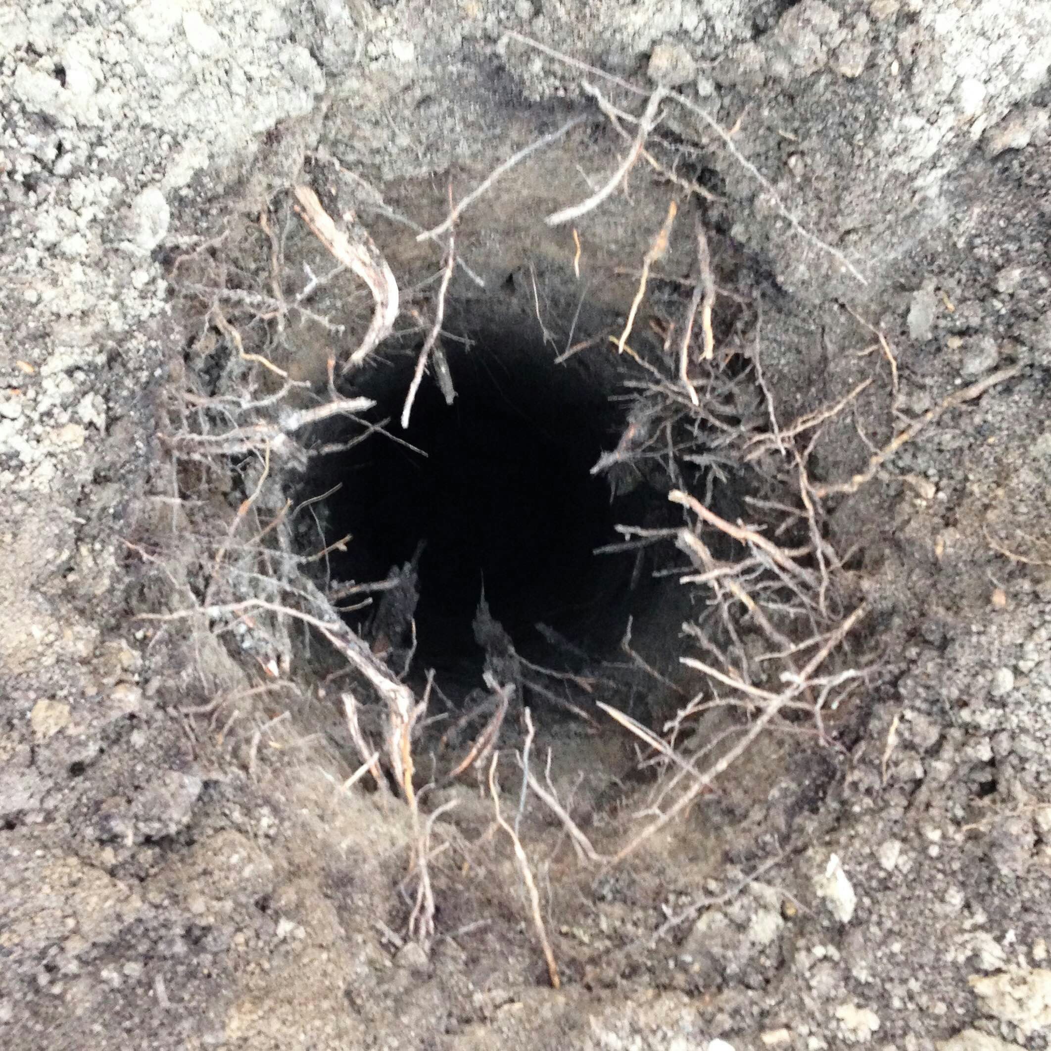 Construction Begins on the Discovery Course!