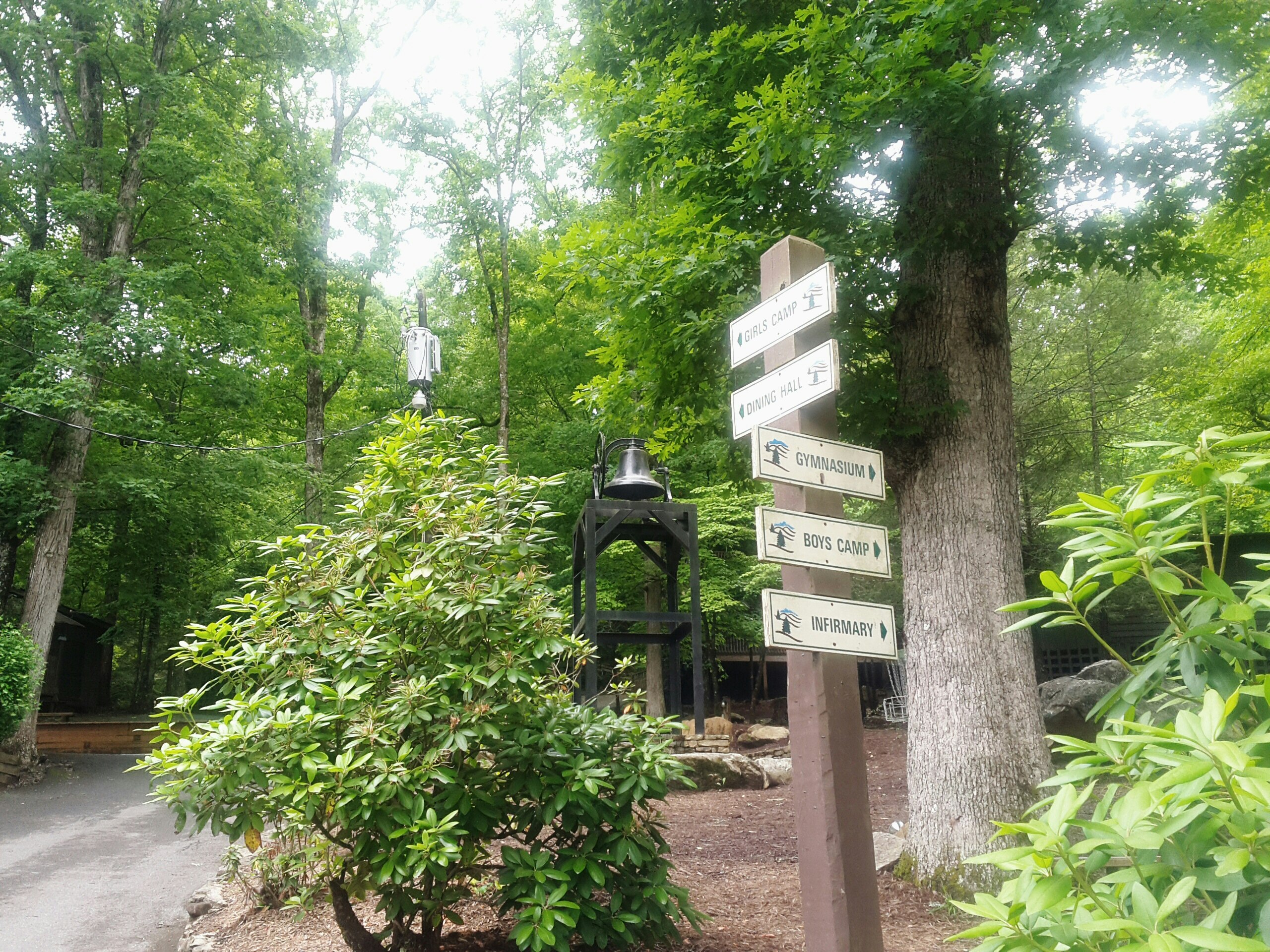 Let's Get Bloggy With It!