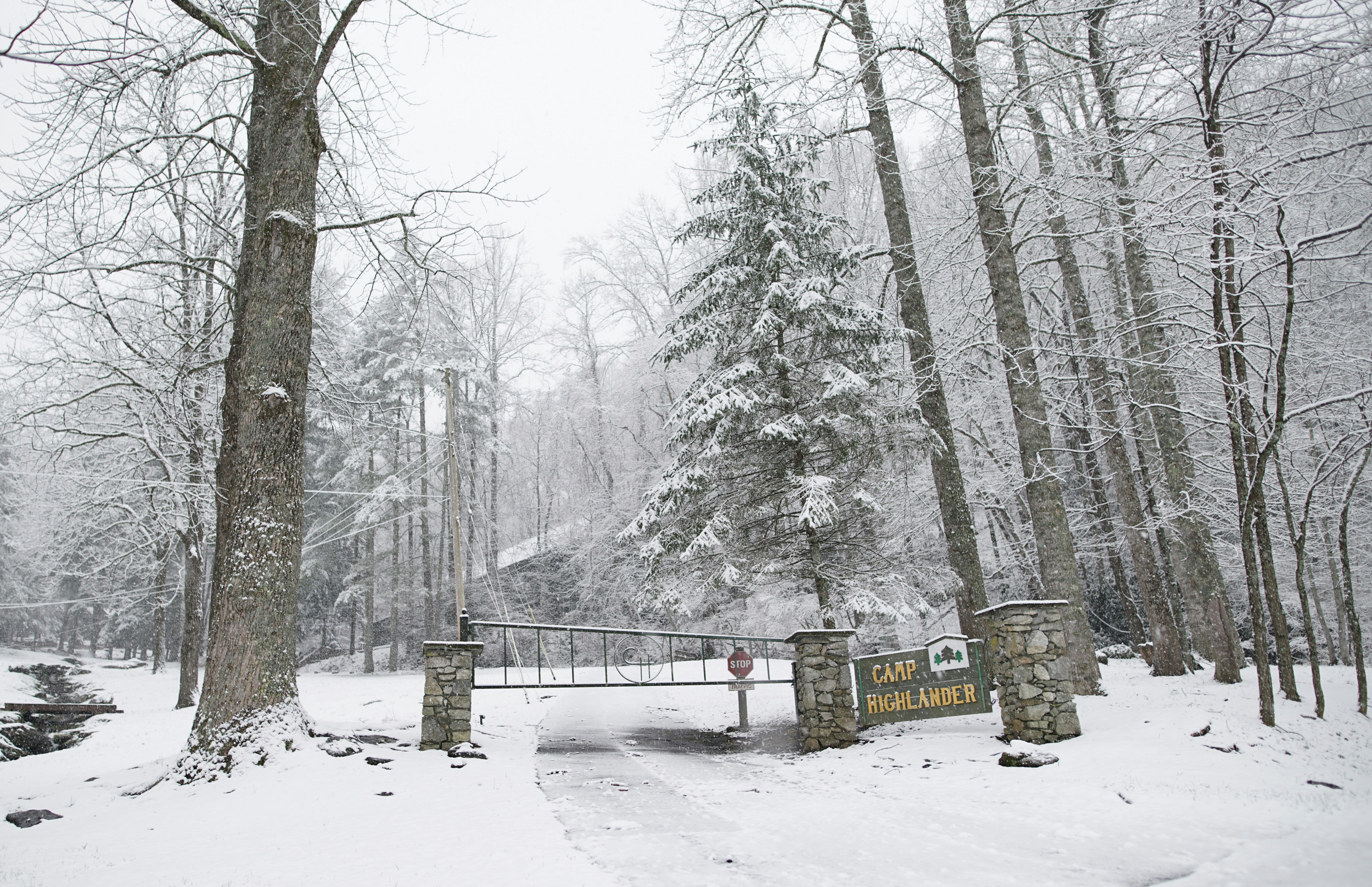 Serenity on a Snowy Day