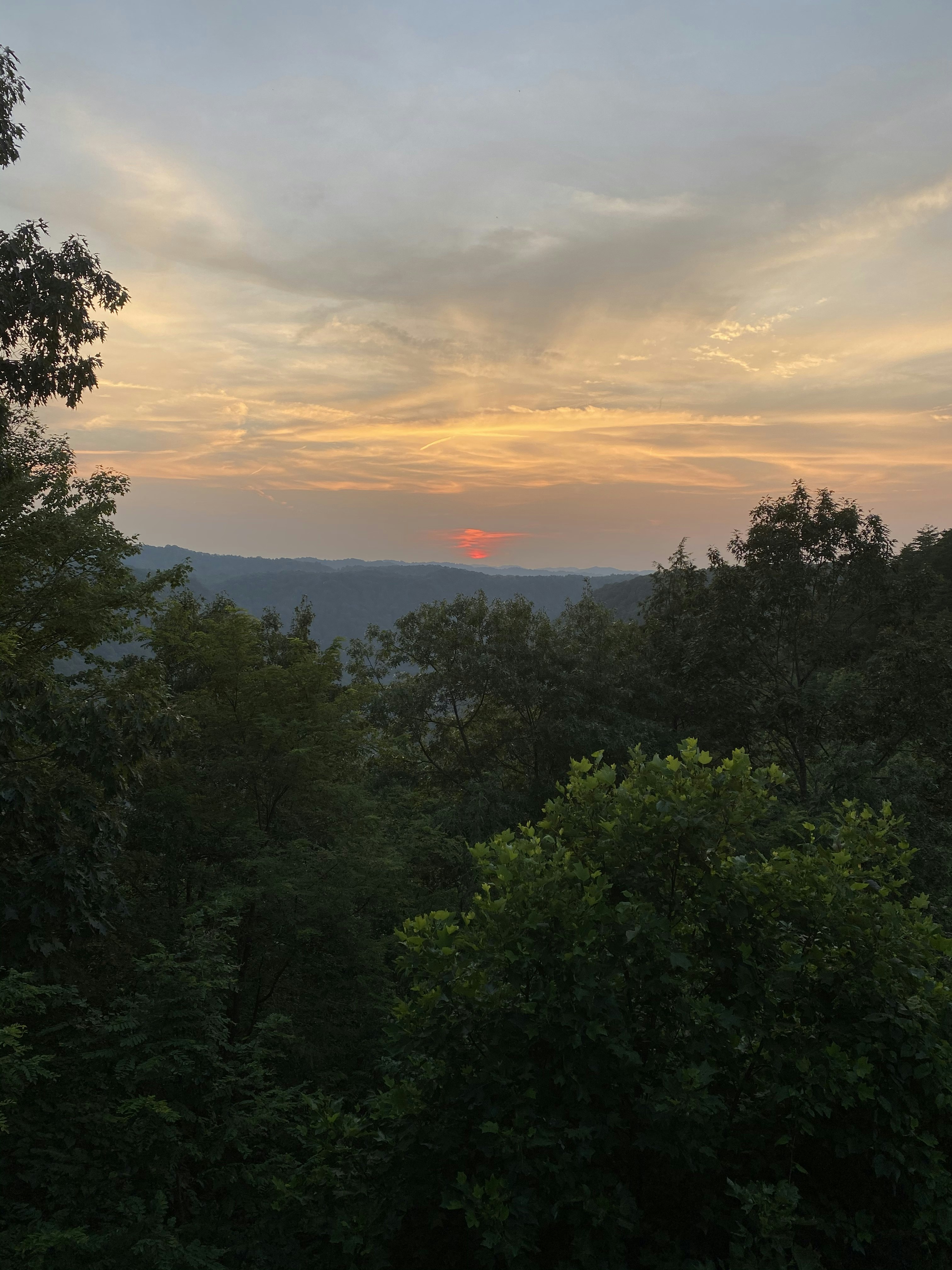 Farewell to the Hills, Hello to the Thrills: ROYAL’s Wild Ride Rolls On