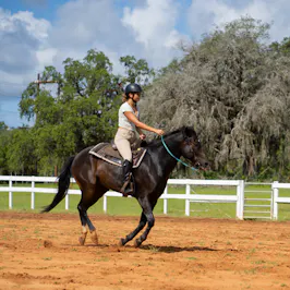 Girl riding horseback