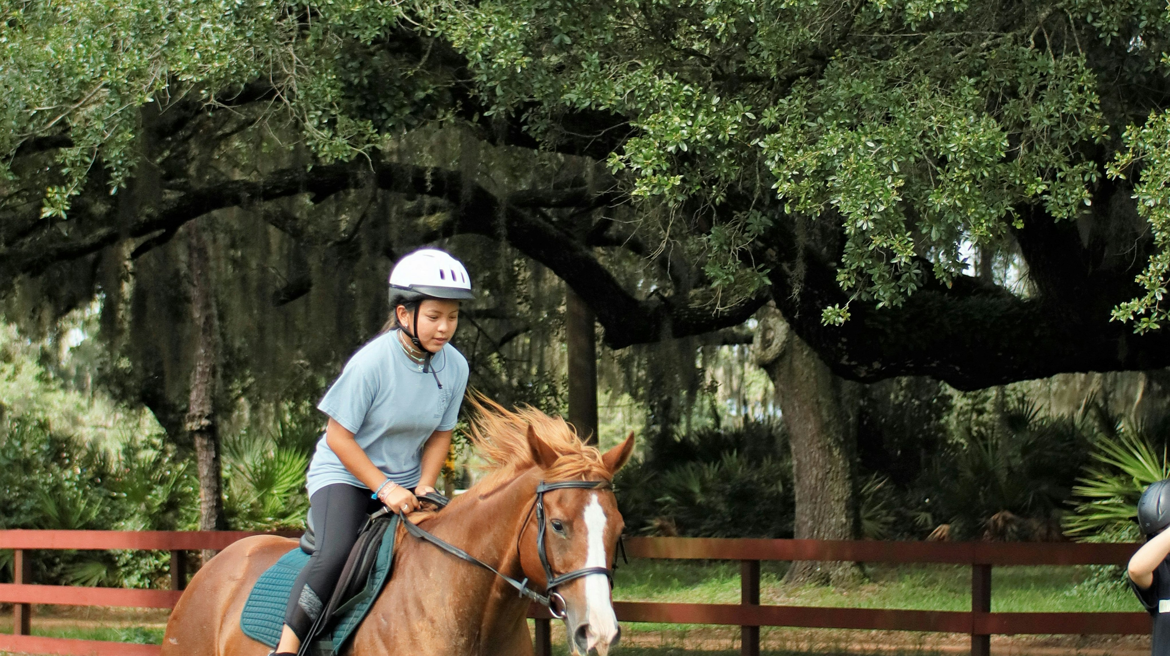 Summer Camp Activities at Circle F Dude Ranch in Florida