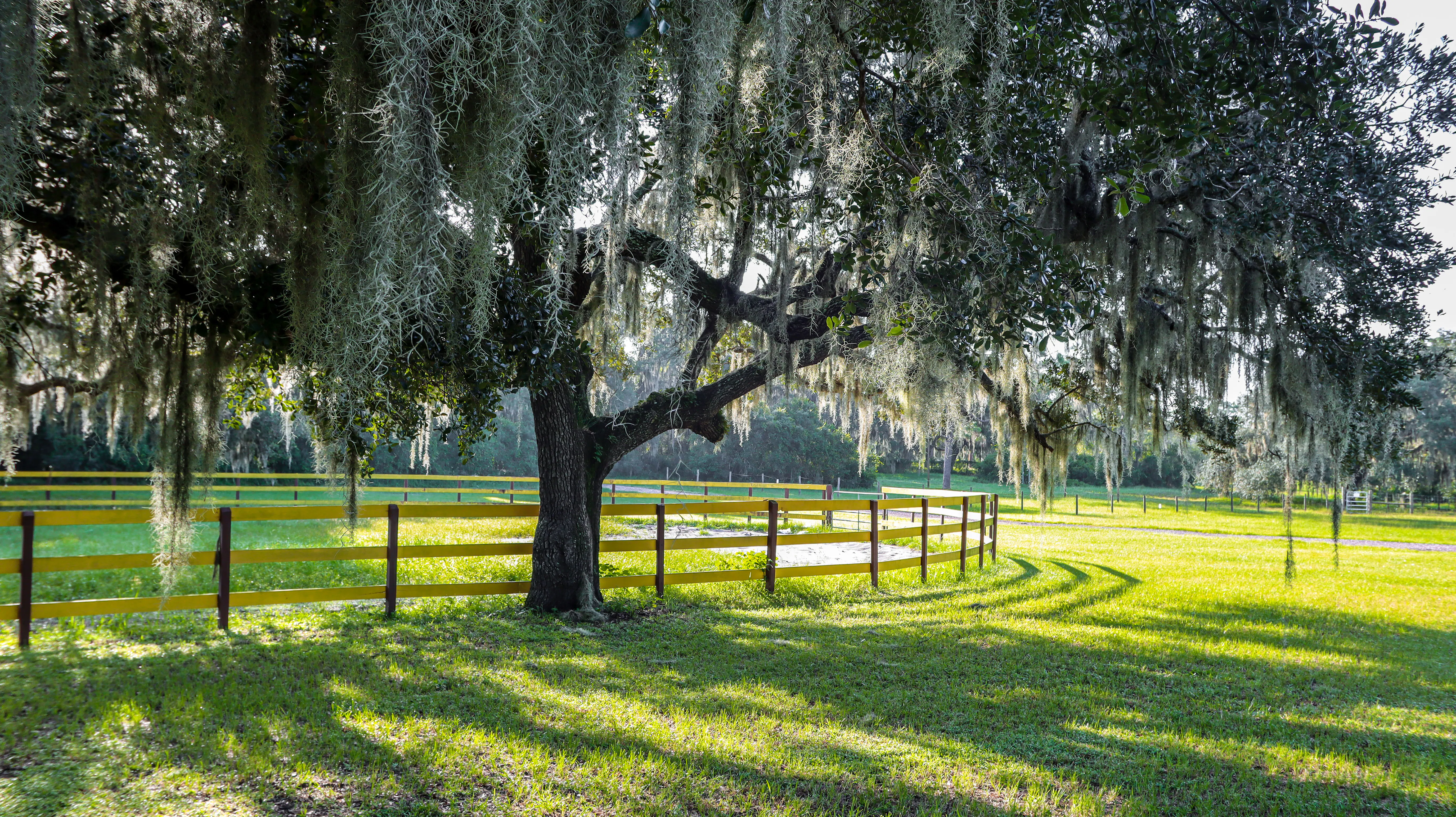 Florida Dude Ranch Facilities at Circle F Dude Ranch Camp in Lake Wales, FL