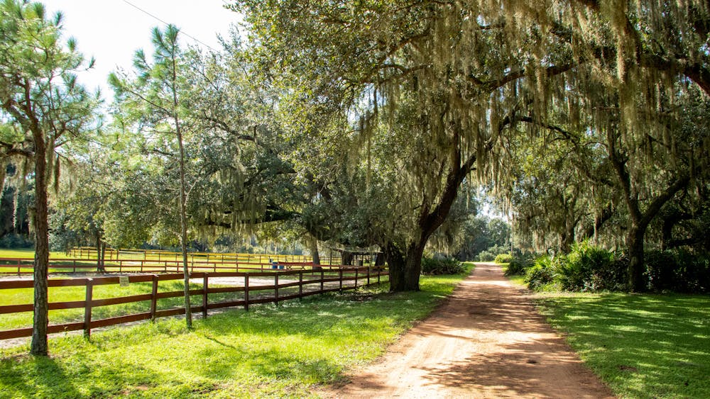 Florida dude ranch old oak trees.jpg?ixlib=rails 2.1