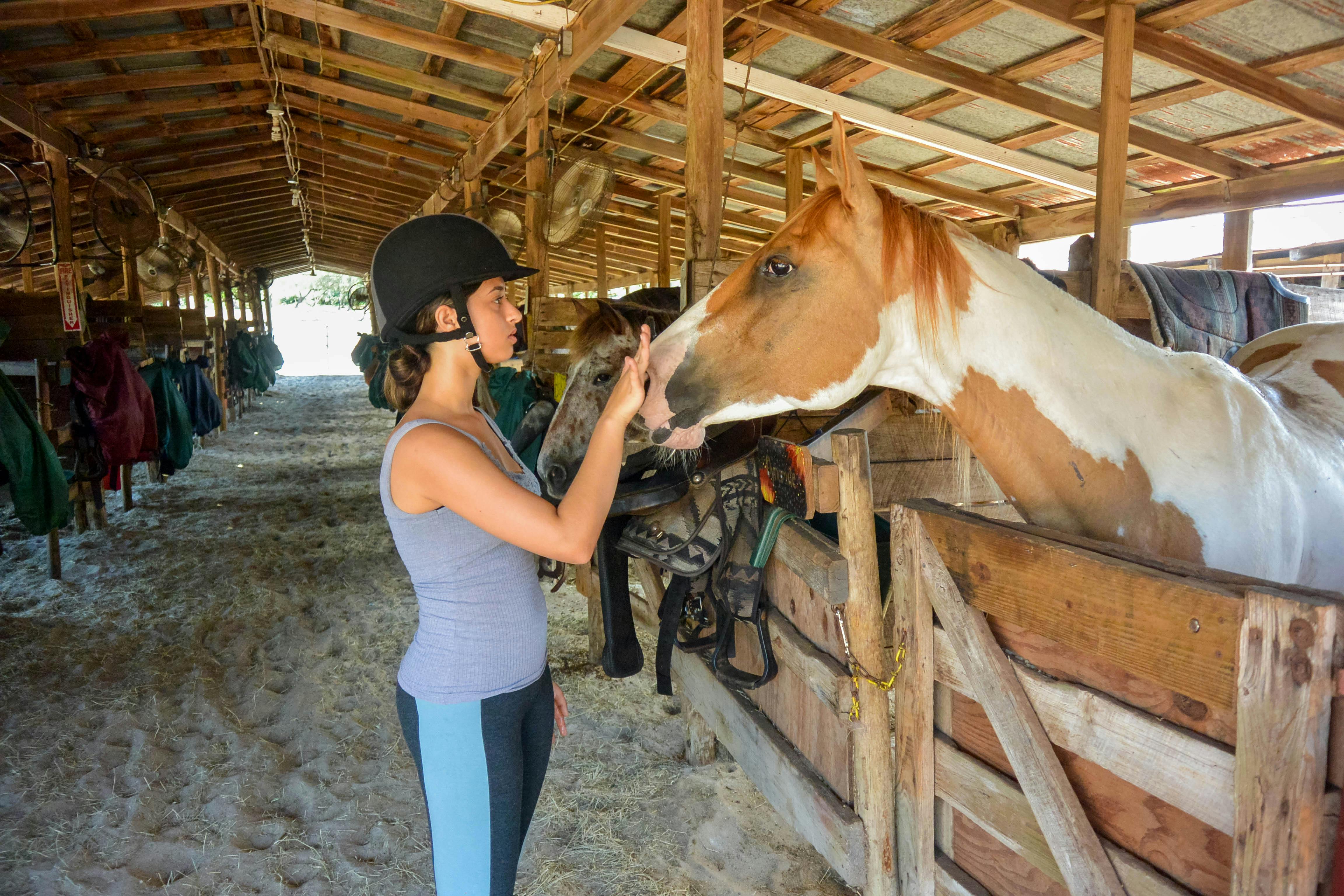 Top 6 Reason's to Choose an Equine Summer Camp.