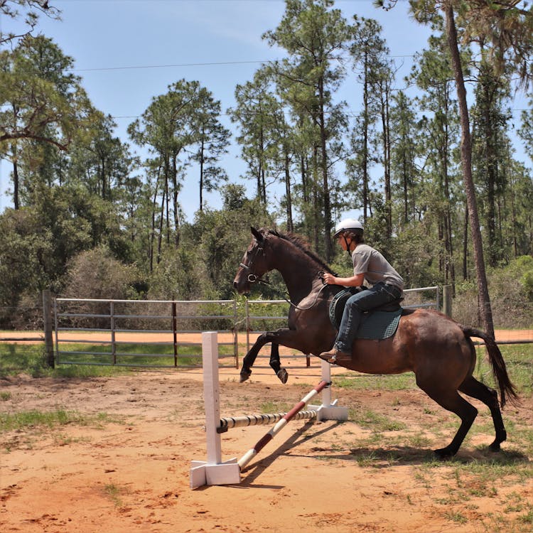 Dude ranch spring break camp horseback riding florida jumping equine activities.jpg?ixlib=rails 2.1