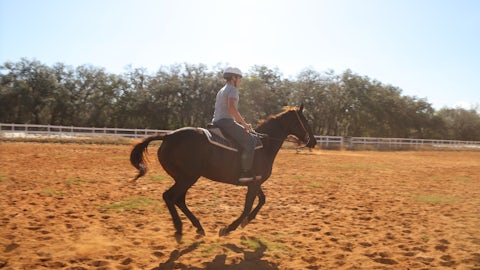 Dude ranch summer camp horseback riding florida activities camper lessons arena  rodeo.jpg?ixlib=rails 2.1
