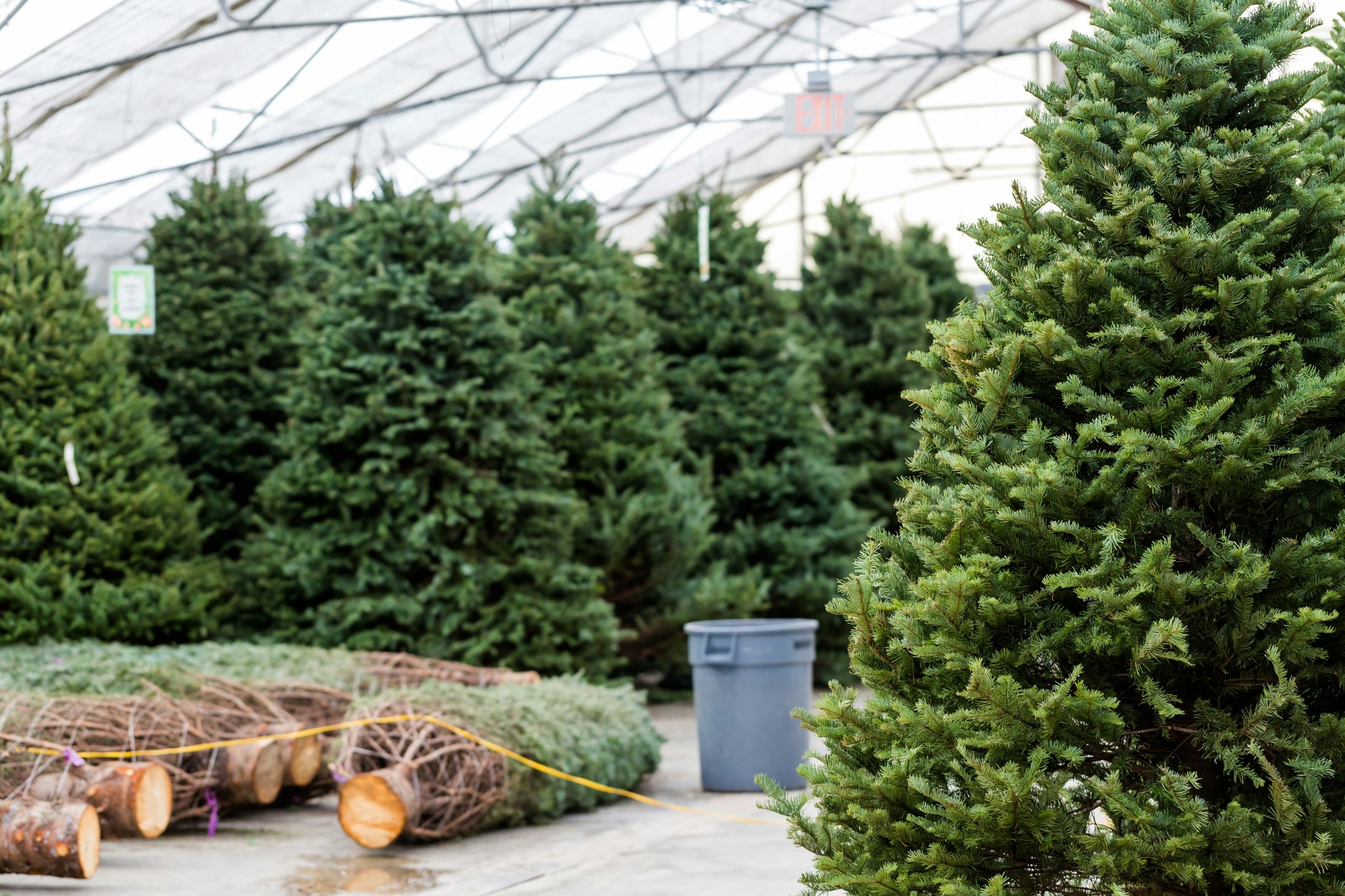 5 Songs to Mix in With Your Christmas Playlist
