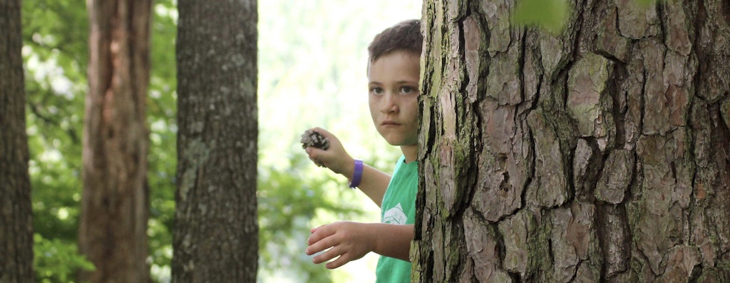 Last Child In The Woods: Chapter 4 Climbing the Tree of Health