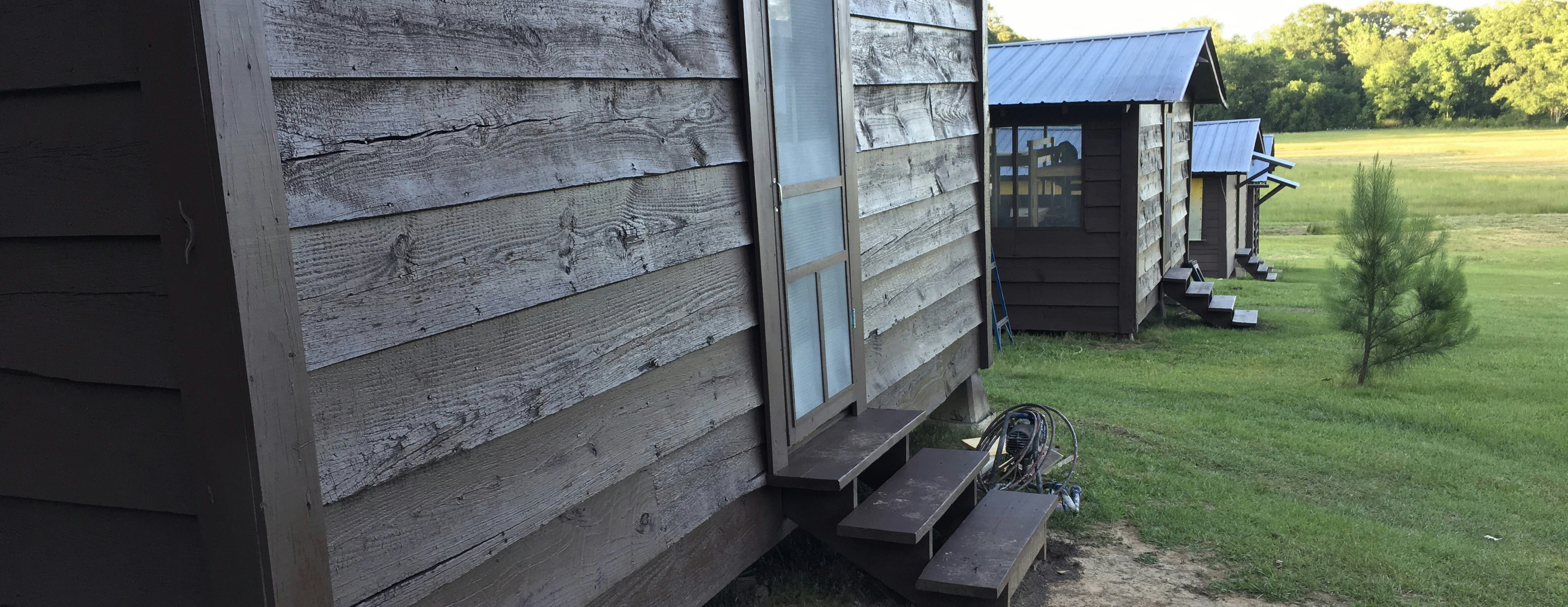 Fresh Paint  New Grass