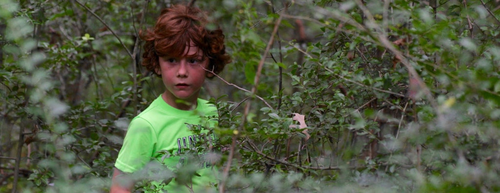 Last Child In The Woods: Chapter 3 The Criminalization of Natural Play