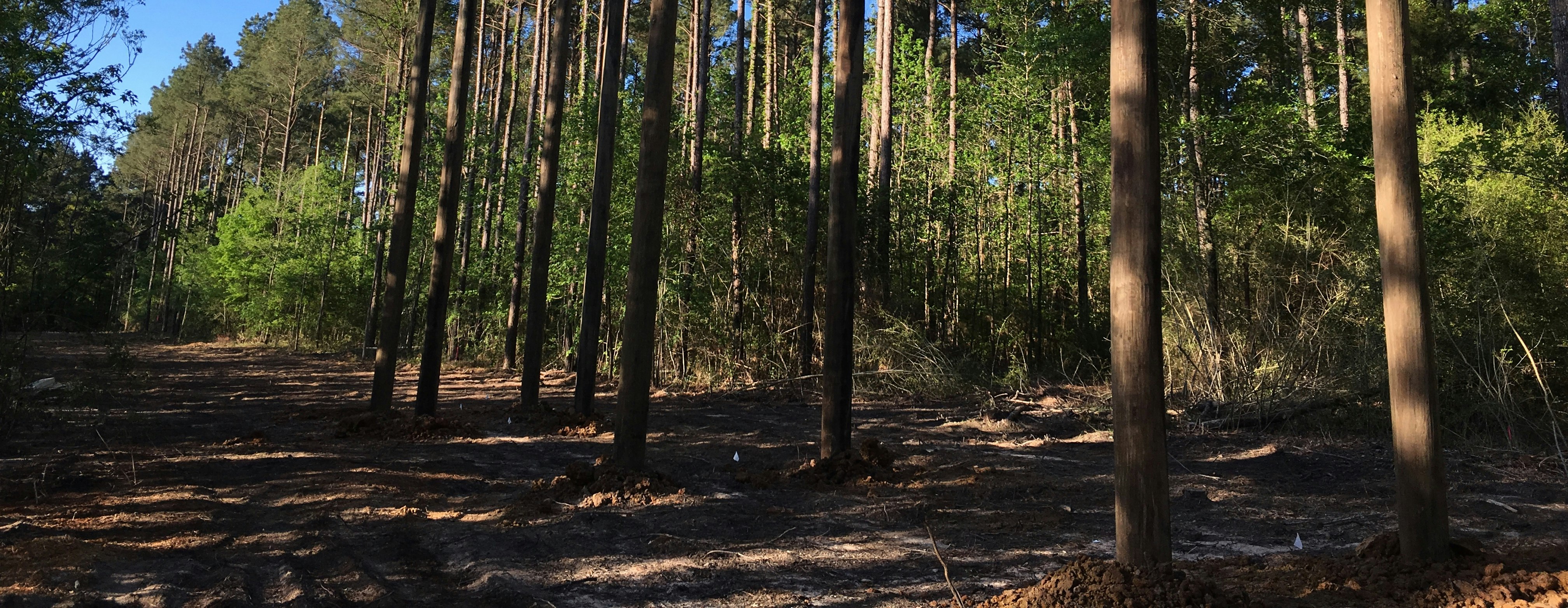 Ropes Course Going Up!