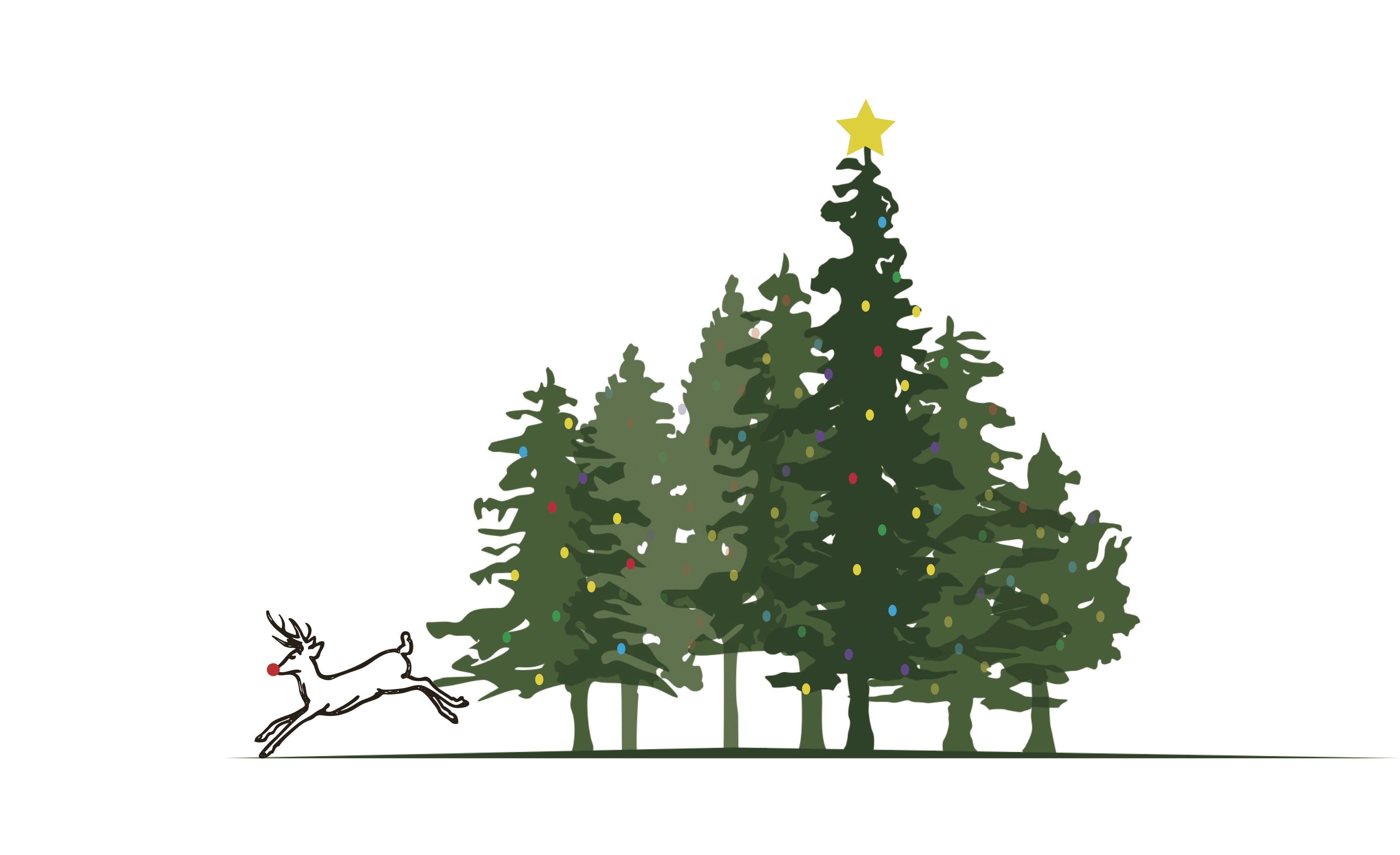 Give Camp for Christmas