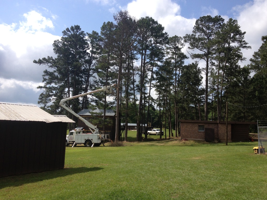 Camp Update: Bunks, Trees, Low Ropes, and Leadership