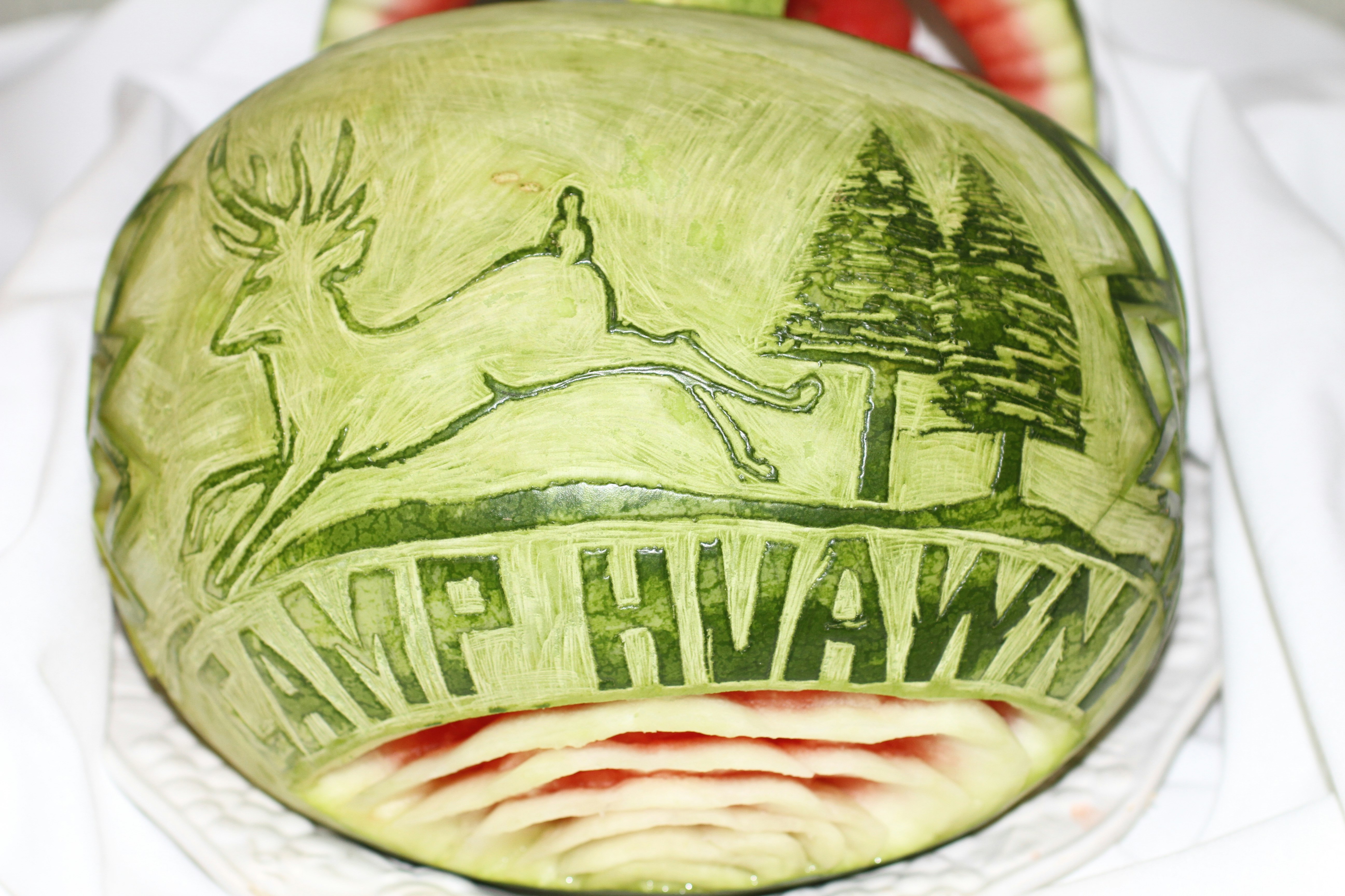 Nacogdoches, TX Camp Party Recap