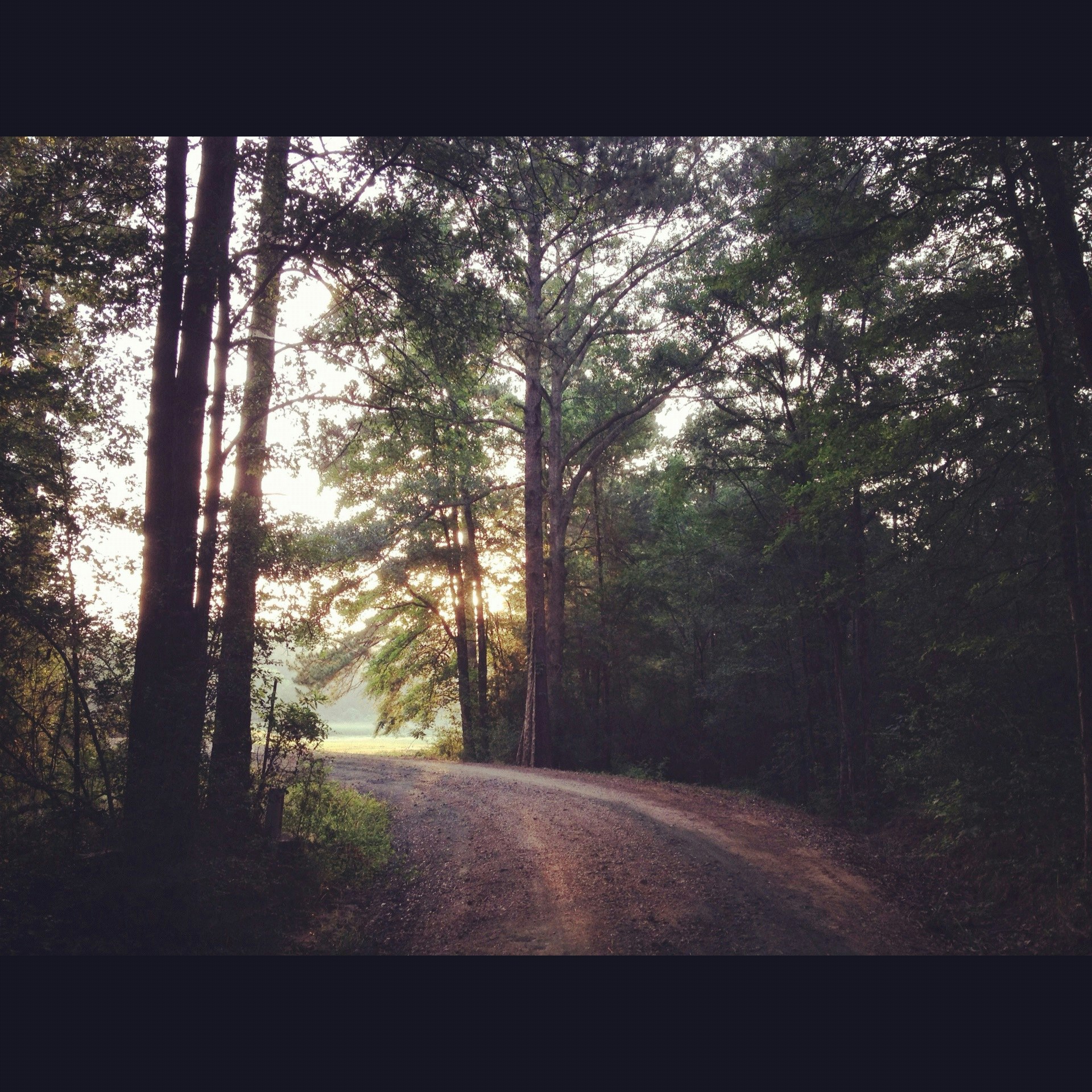 Happy Thanksgiving! 5 Things We're Thankful For At Camp Huawni