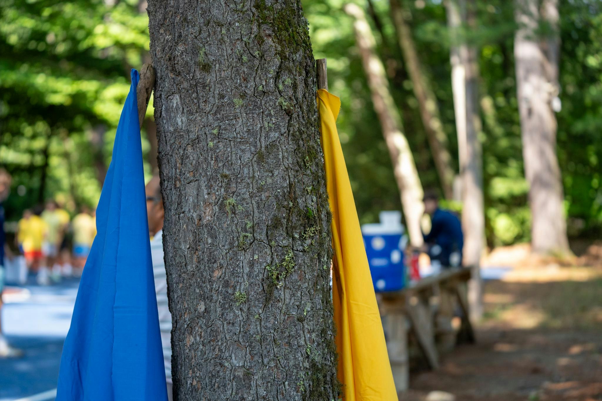 Beyond Camp: How Camp Builds a Network That Benefits Staff Professionally