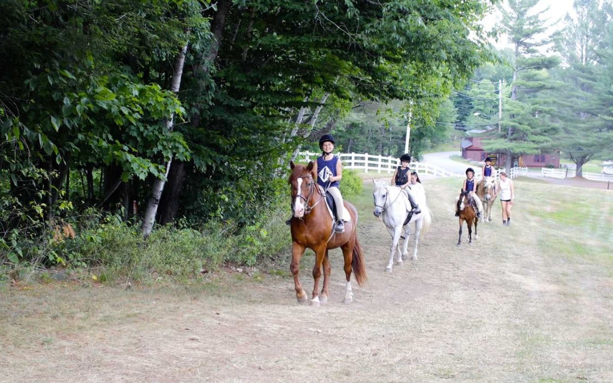 Swim Meet, Hobby Night, and Socials!