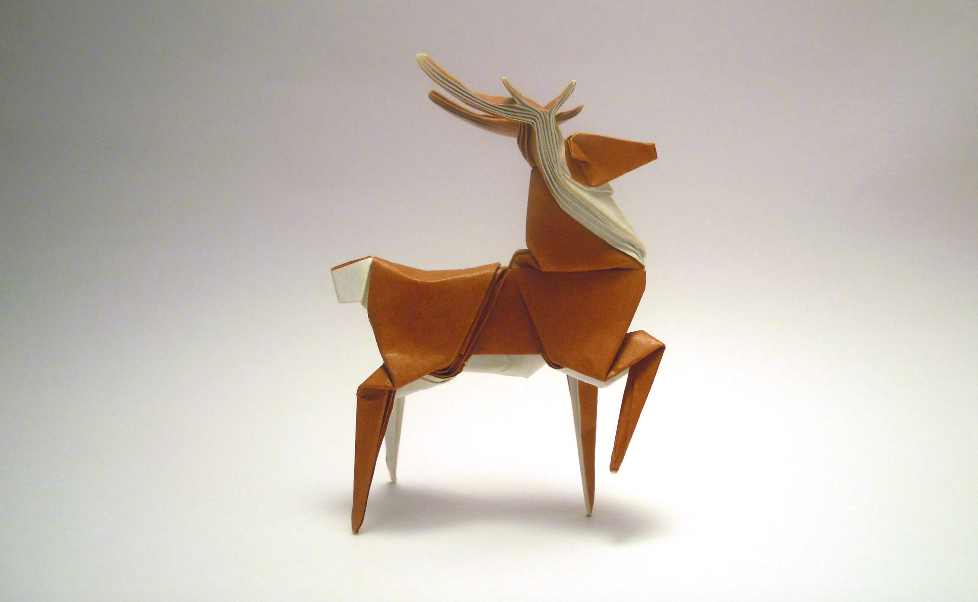 RAQUETTE @ HOME: ORIGAMI