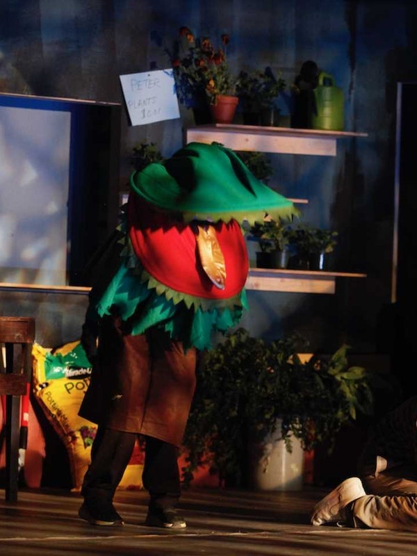 Little Shop Of Horrors!