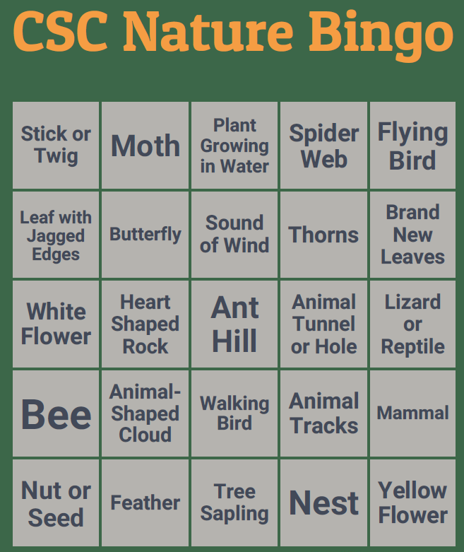Nature Bingo