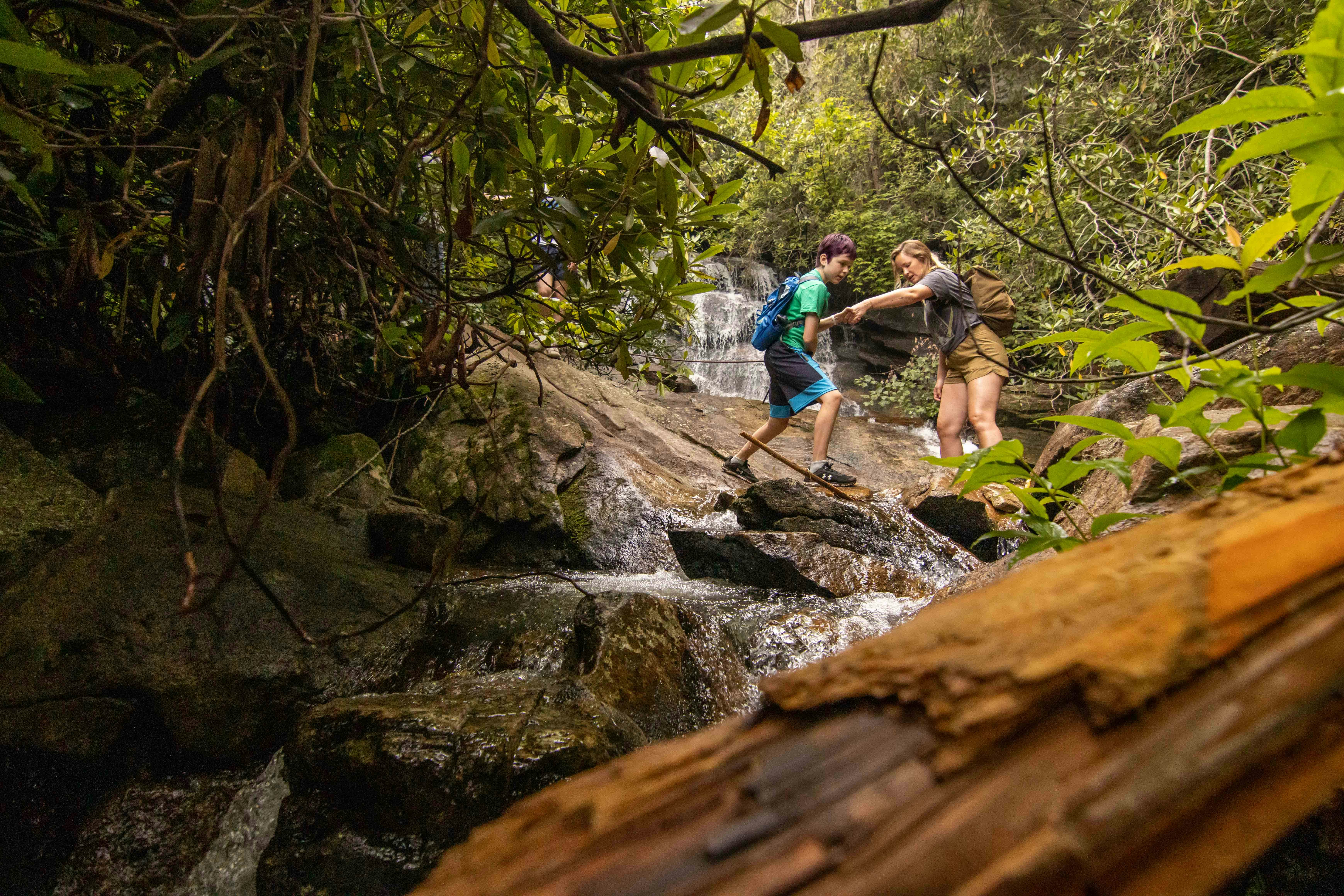 A Year of Possibilities 