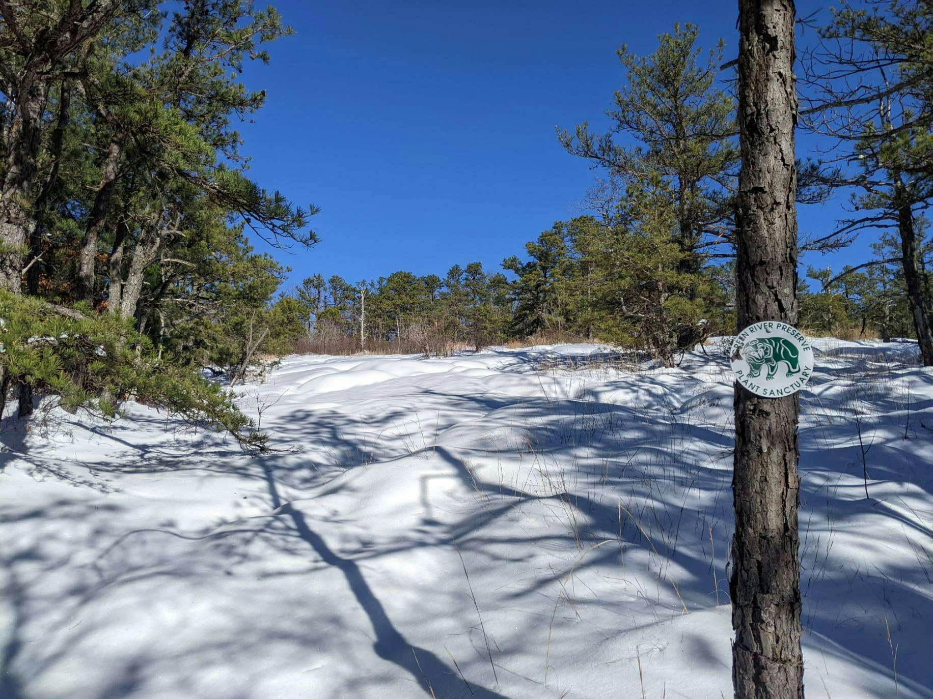 Snowy Days on the Preserve