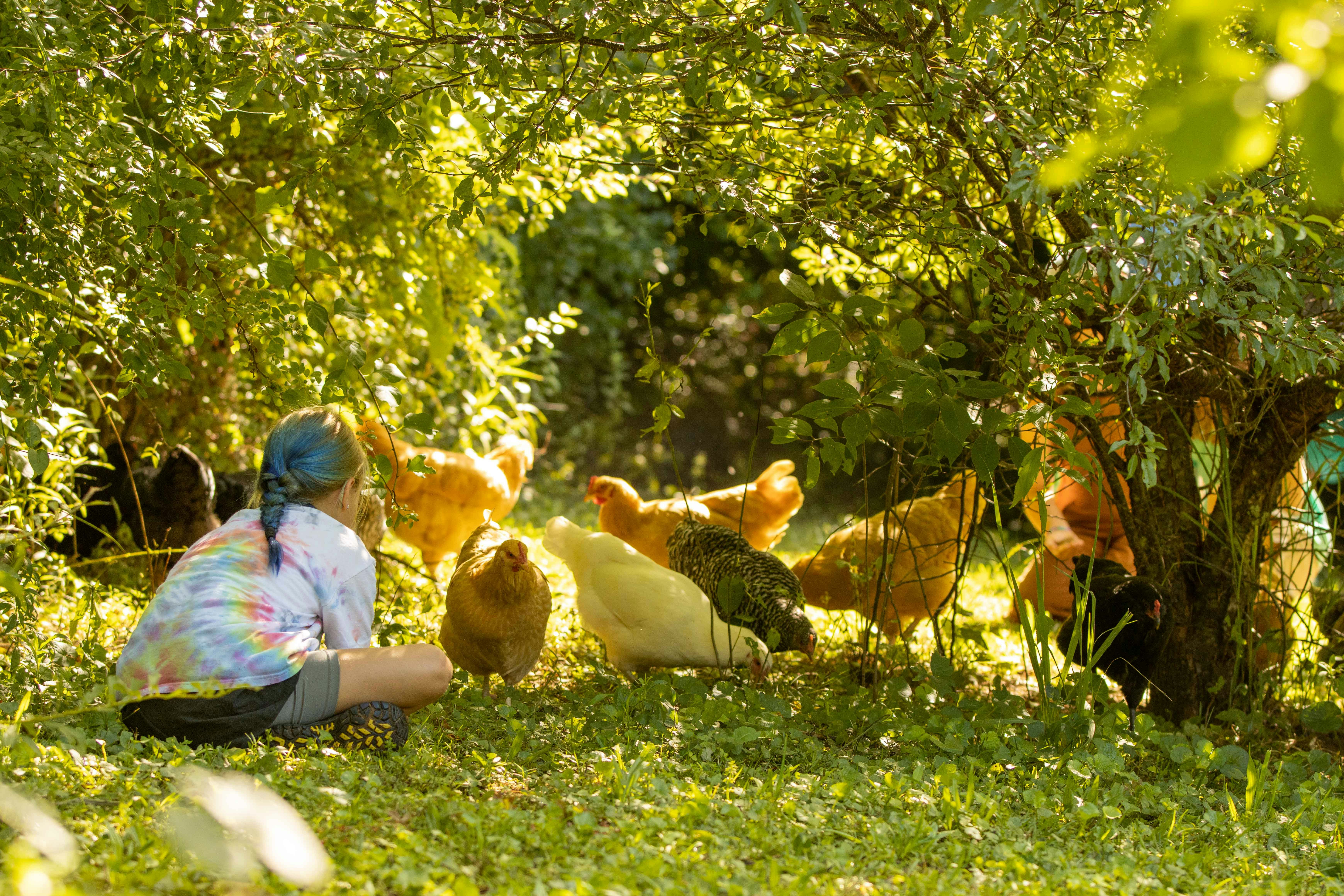 Americorps Partnership with GRP