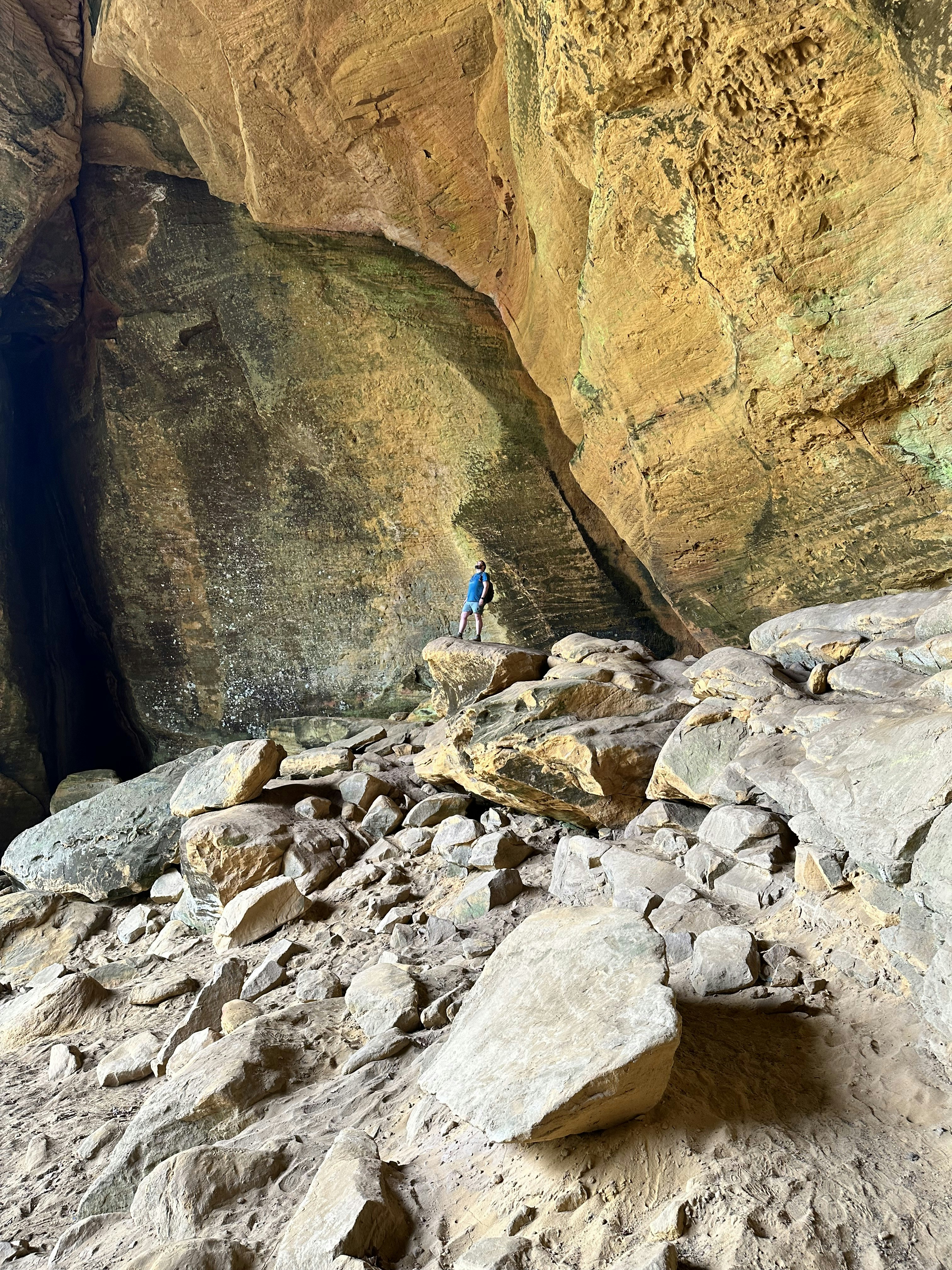 Mentor Spotlight: TJ Lewis