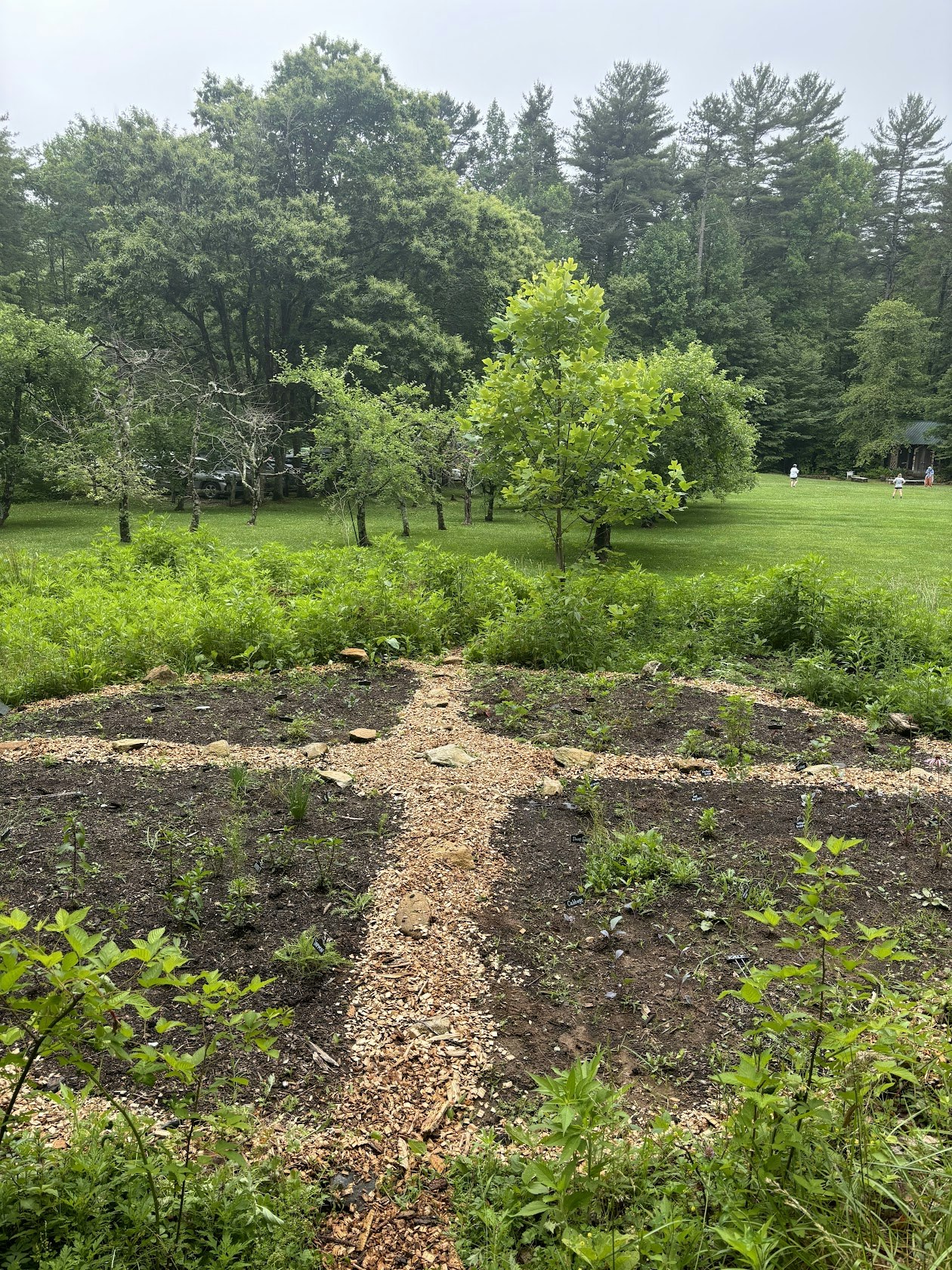 GRP Garden Project: The Medicine Wheel