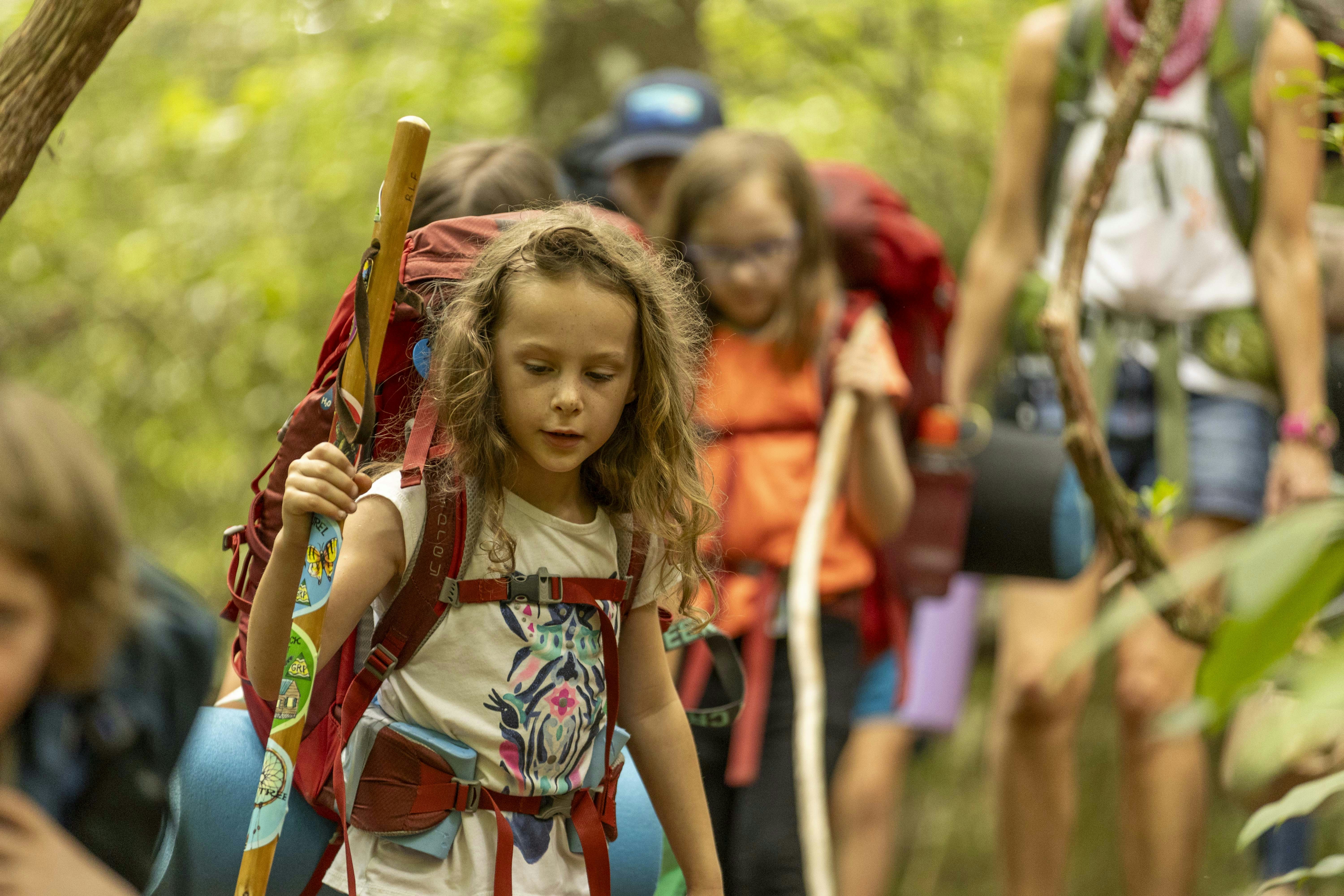 Into the Woods We Go