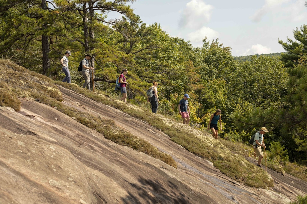 2024 Adult Camp Alumni Weekend