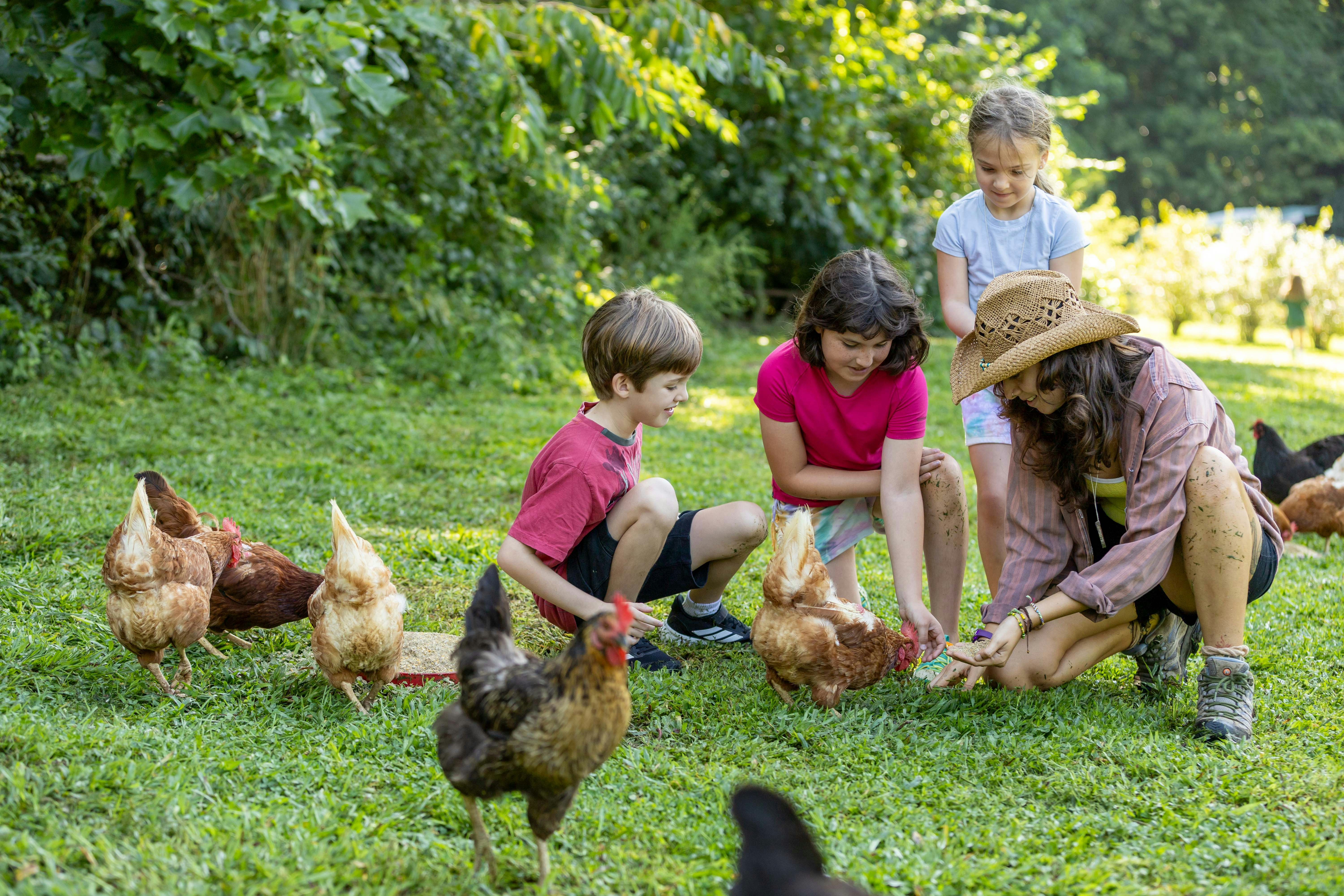 Cultivating Connection