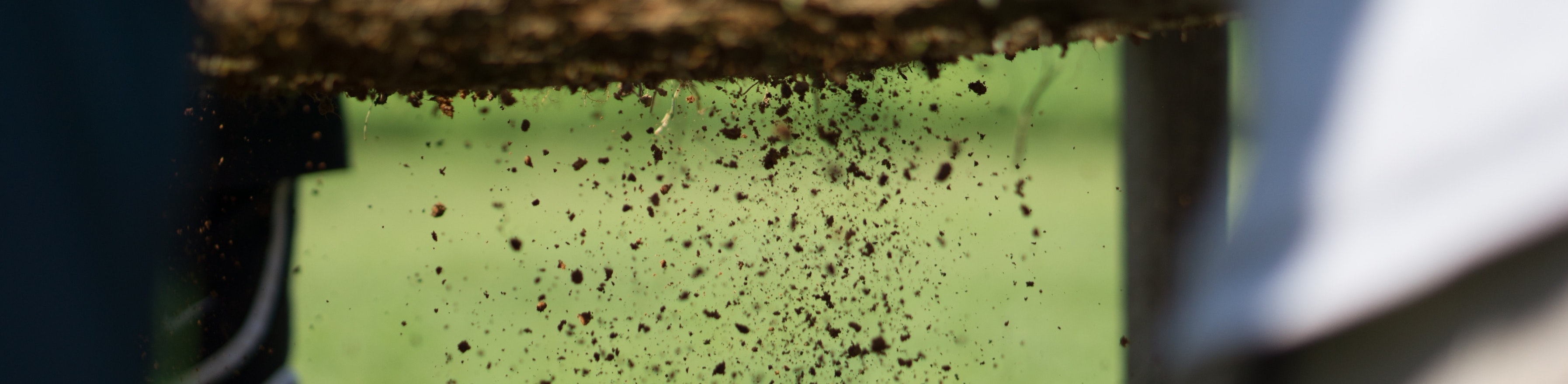 GRP Archaeology Summer of 2017