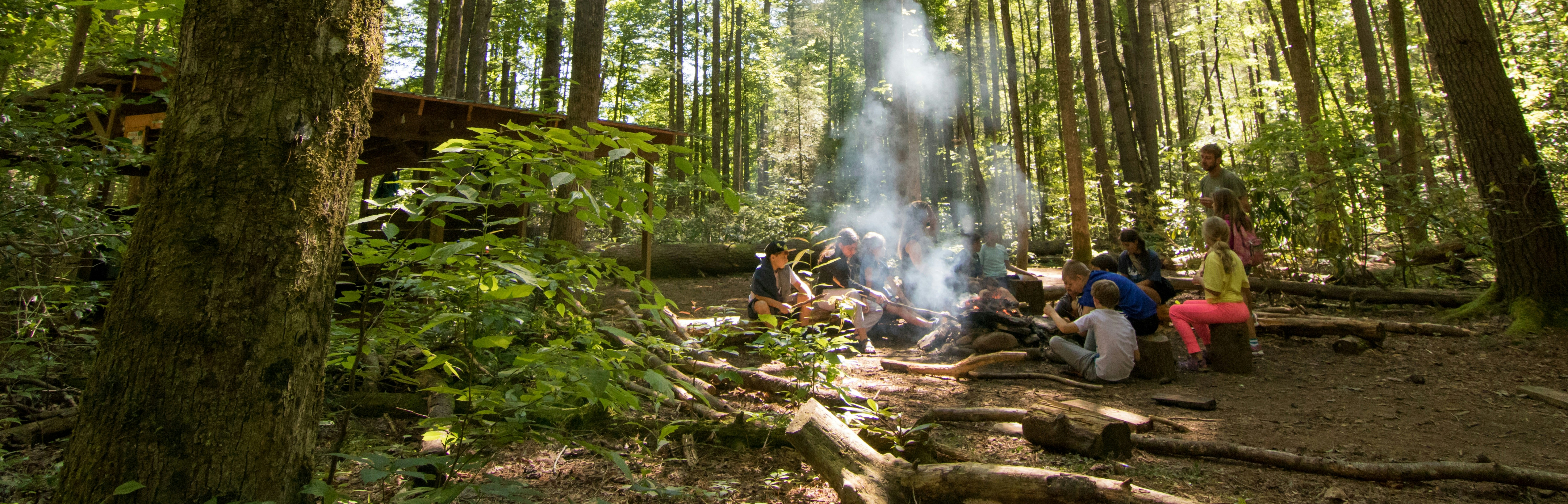 Seek the Joy Moments