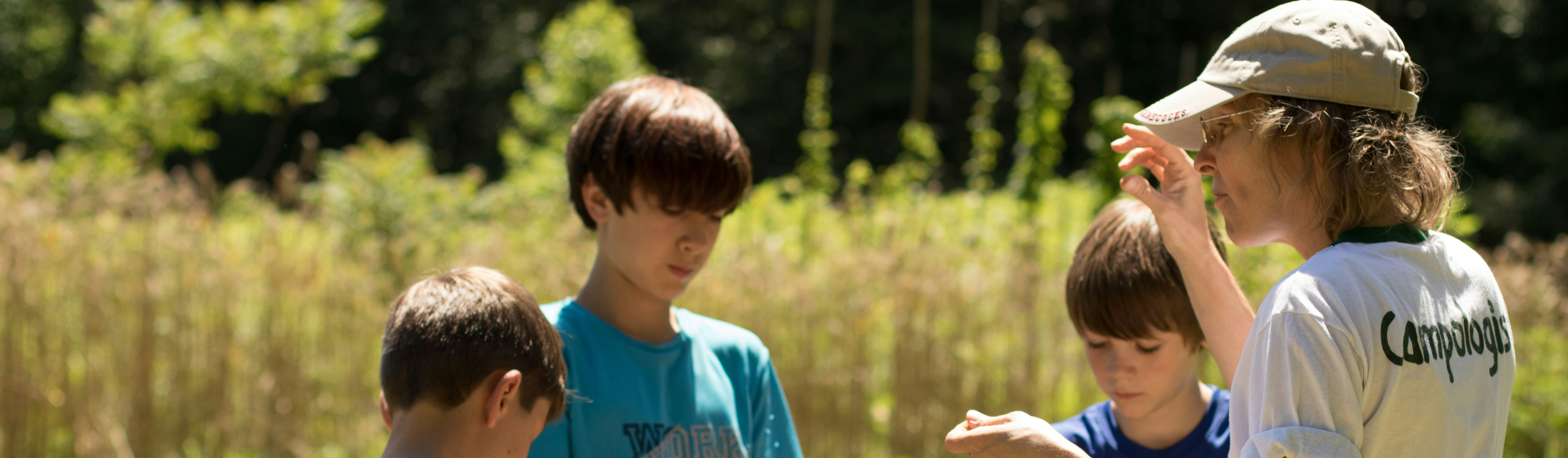 Archaeological Exploration