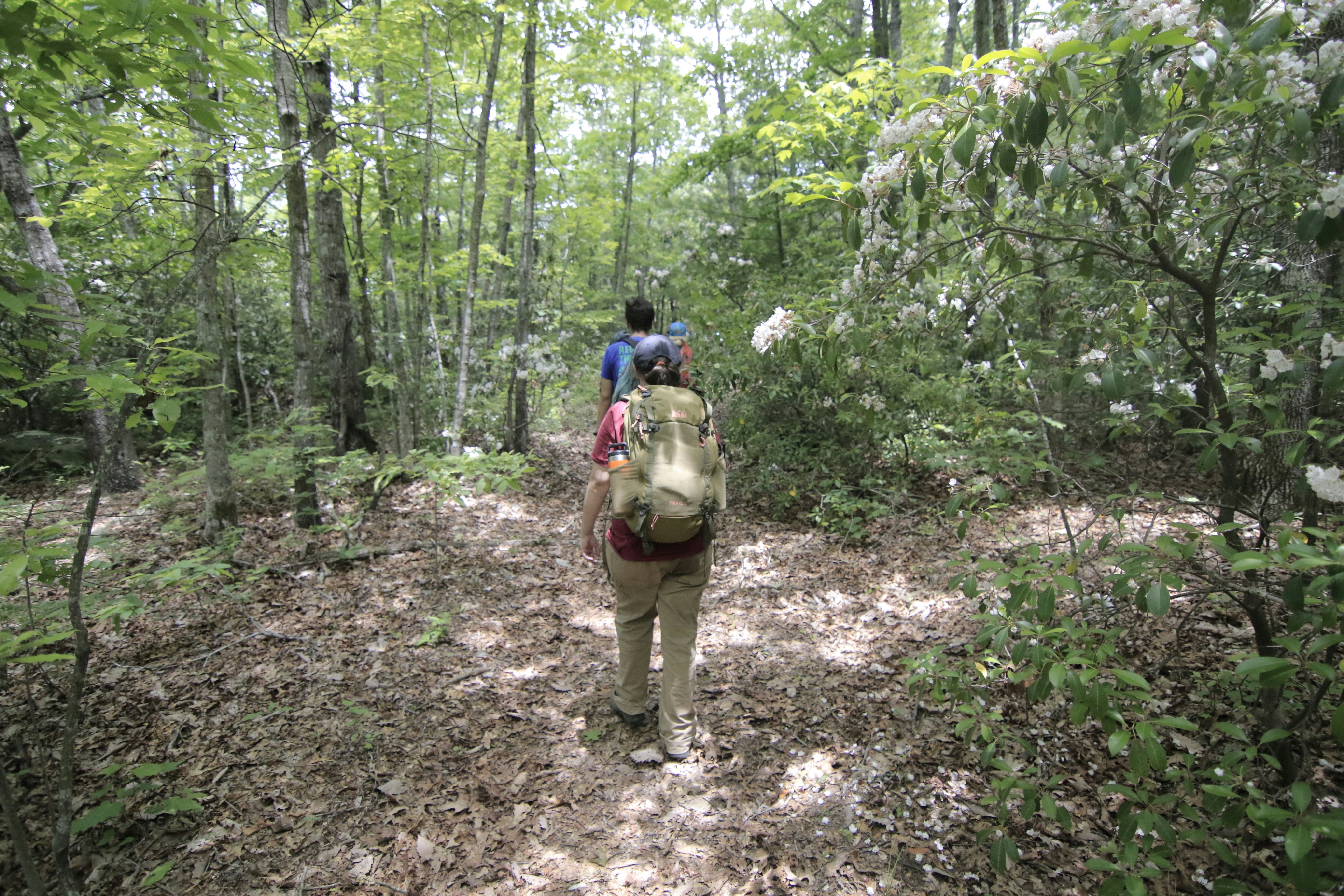 Love the process, not the goal