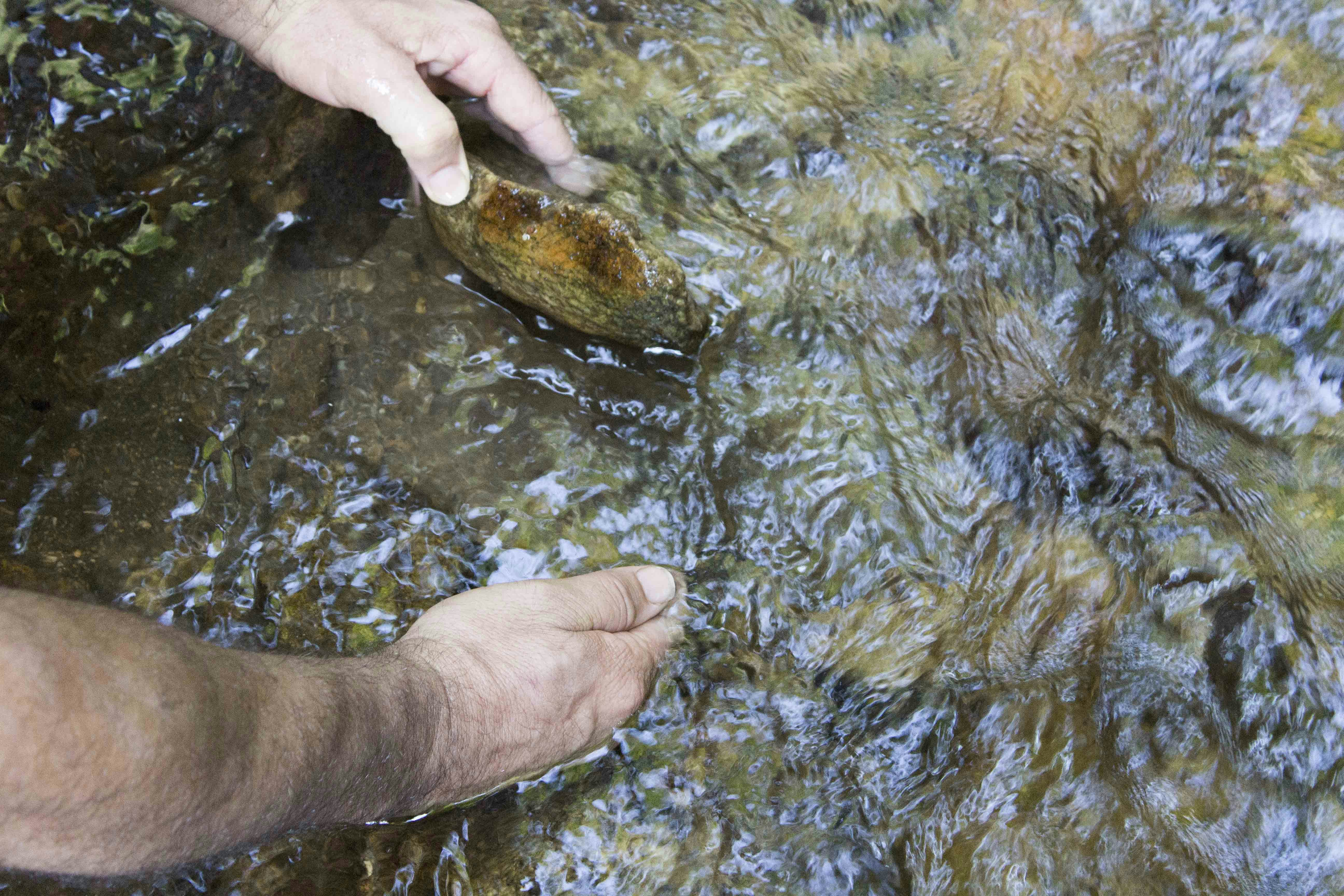 Walking the Land and the Water