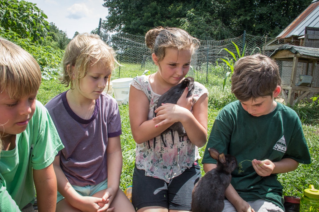 The Importance of Mentor Hikes