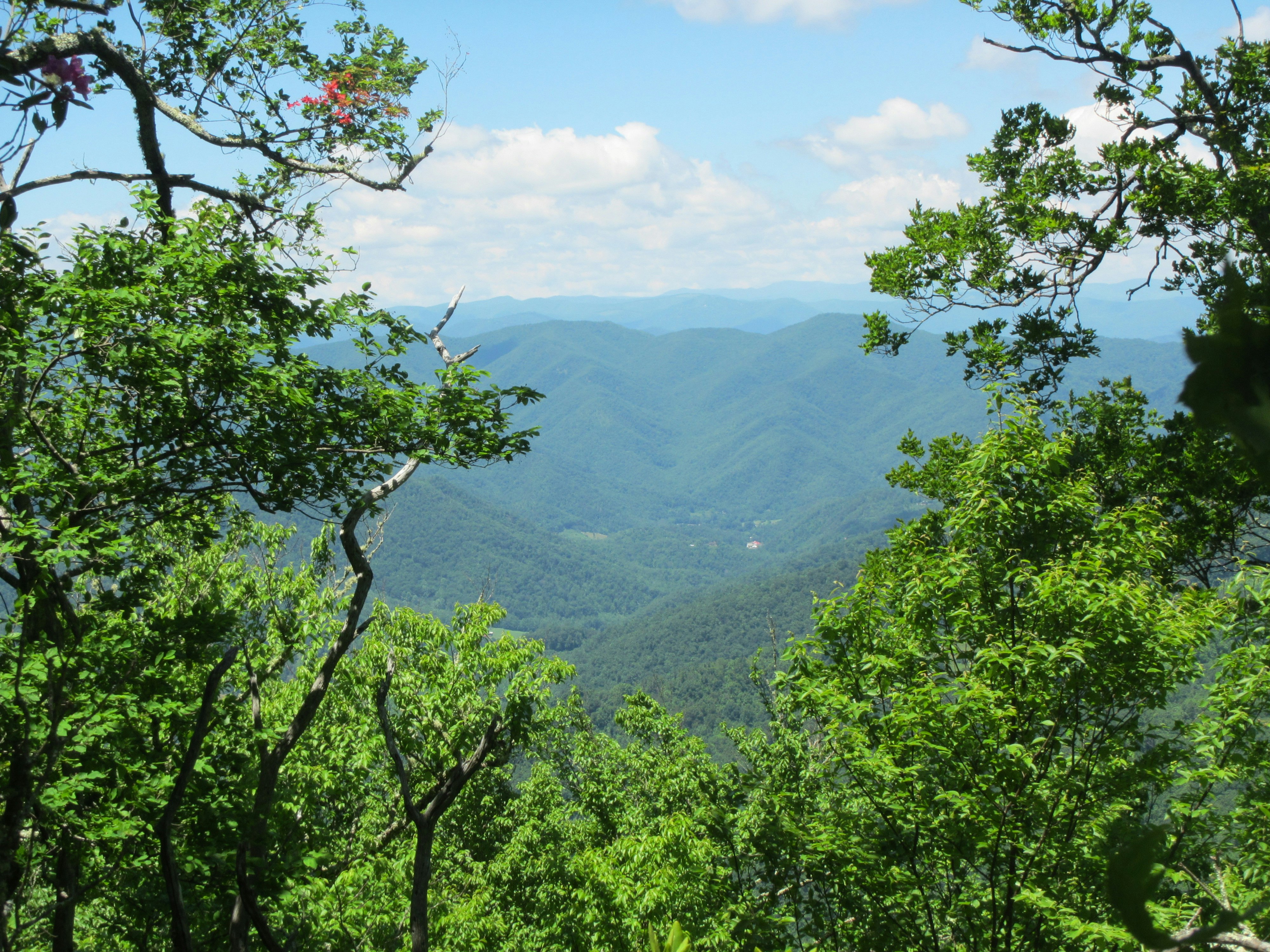 BRX2 is hiking, hiking, hiking!