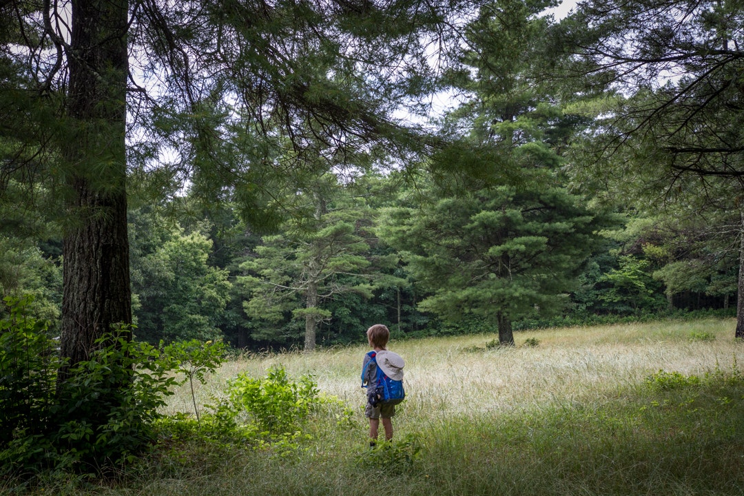 Connecting With Nature