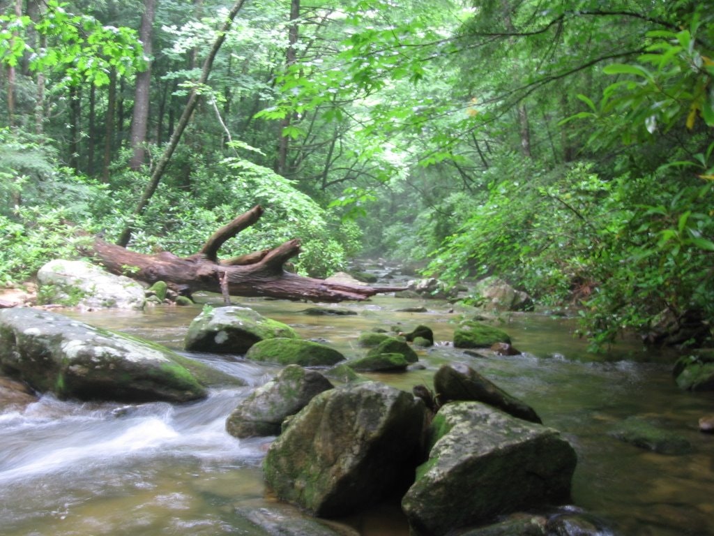 A Healthy Dose of GRP