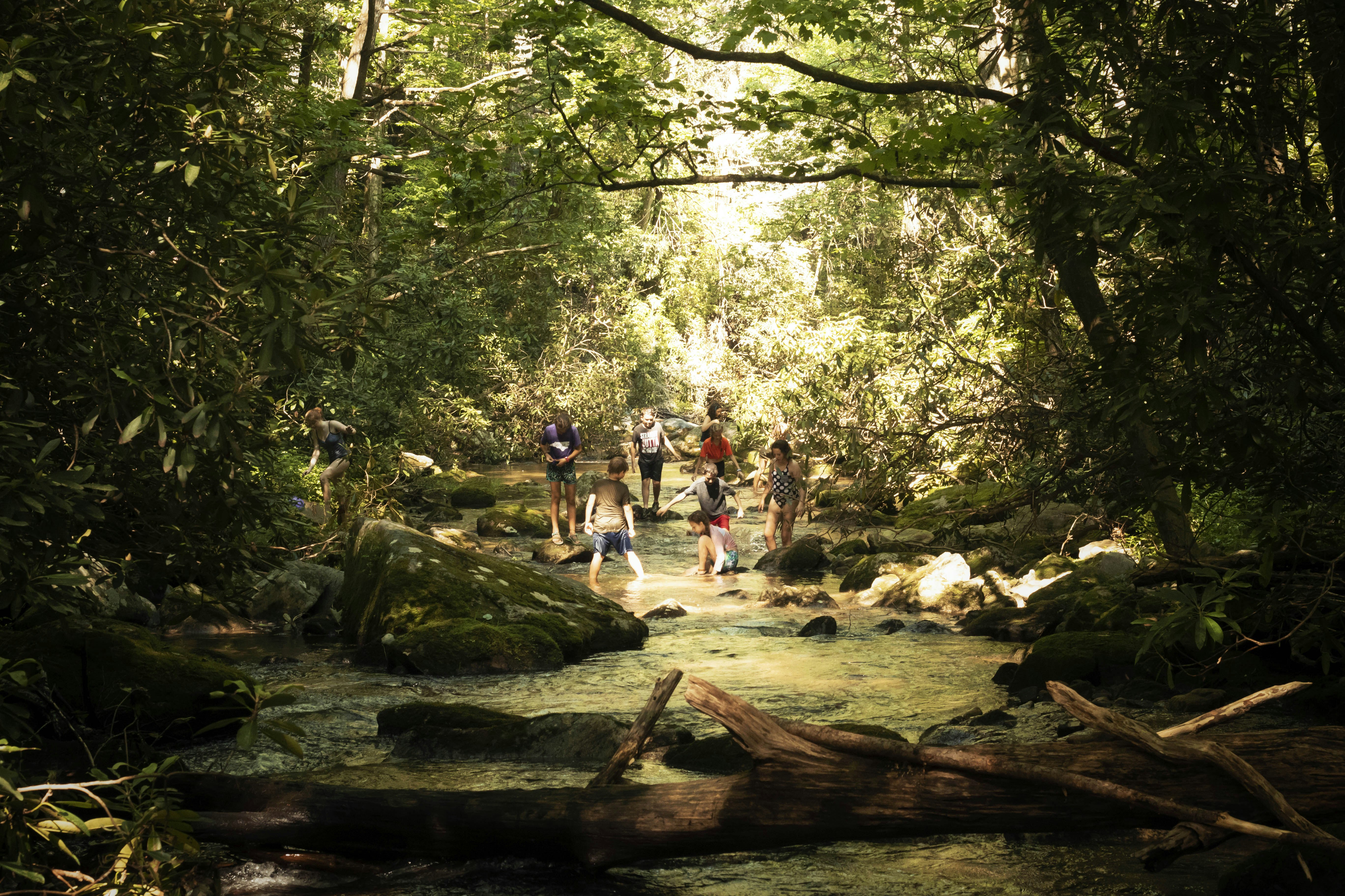 Into the Wild of GRP