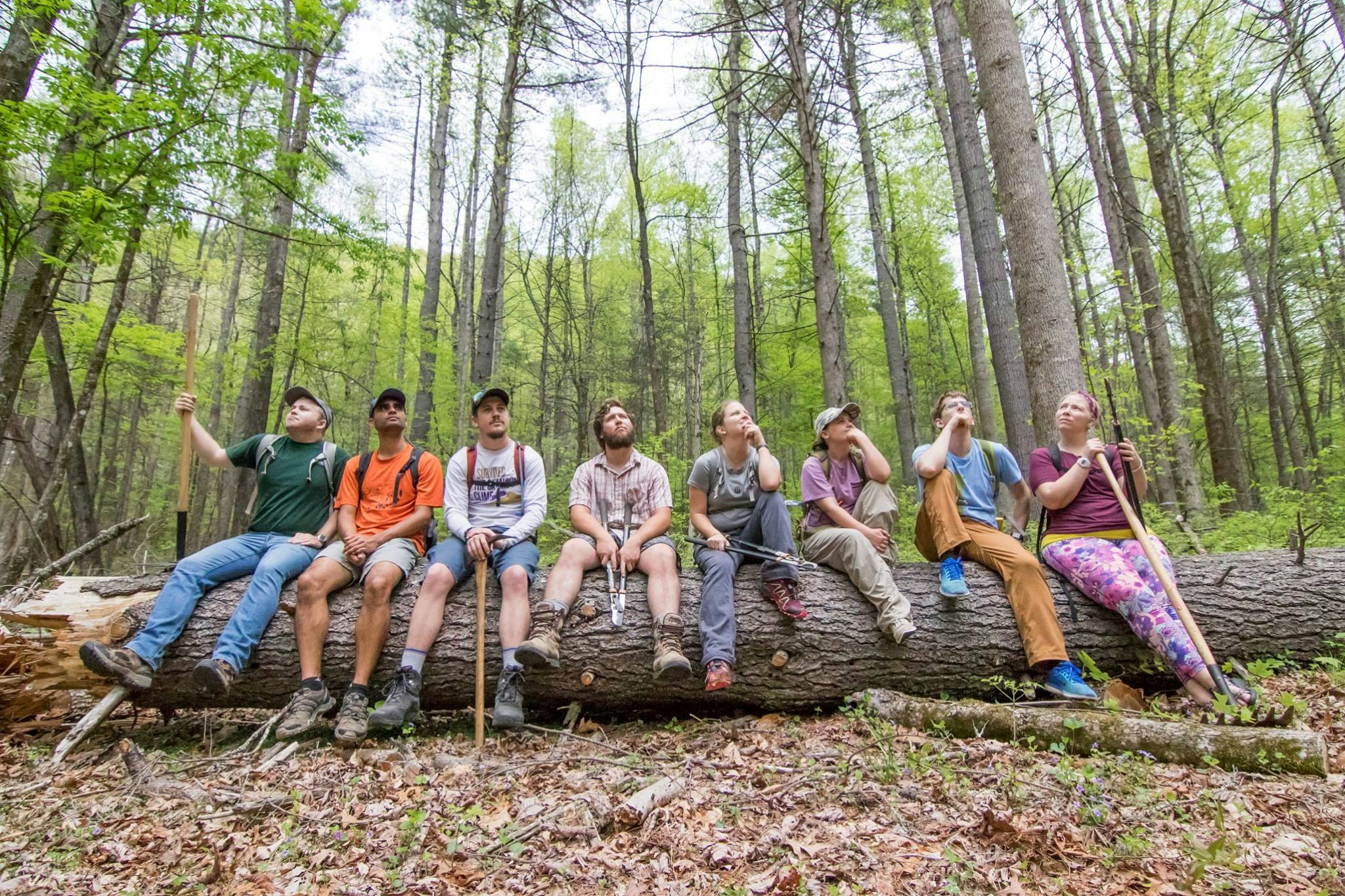 Why I’m Unreasonably Excited for Volunteer Weekend (And Why You Should Be Too!)