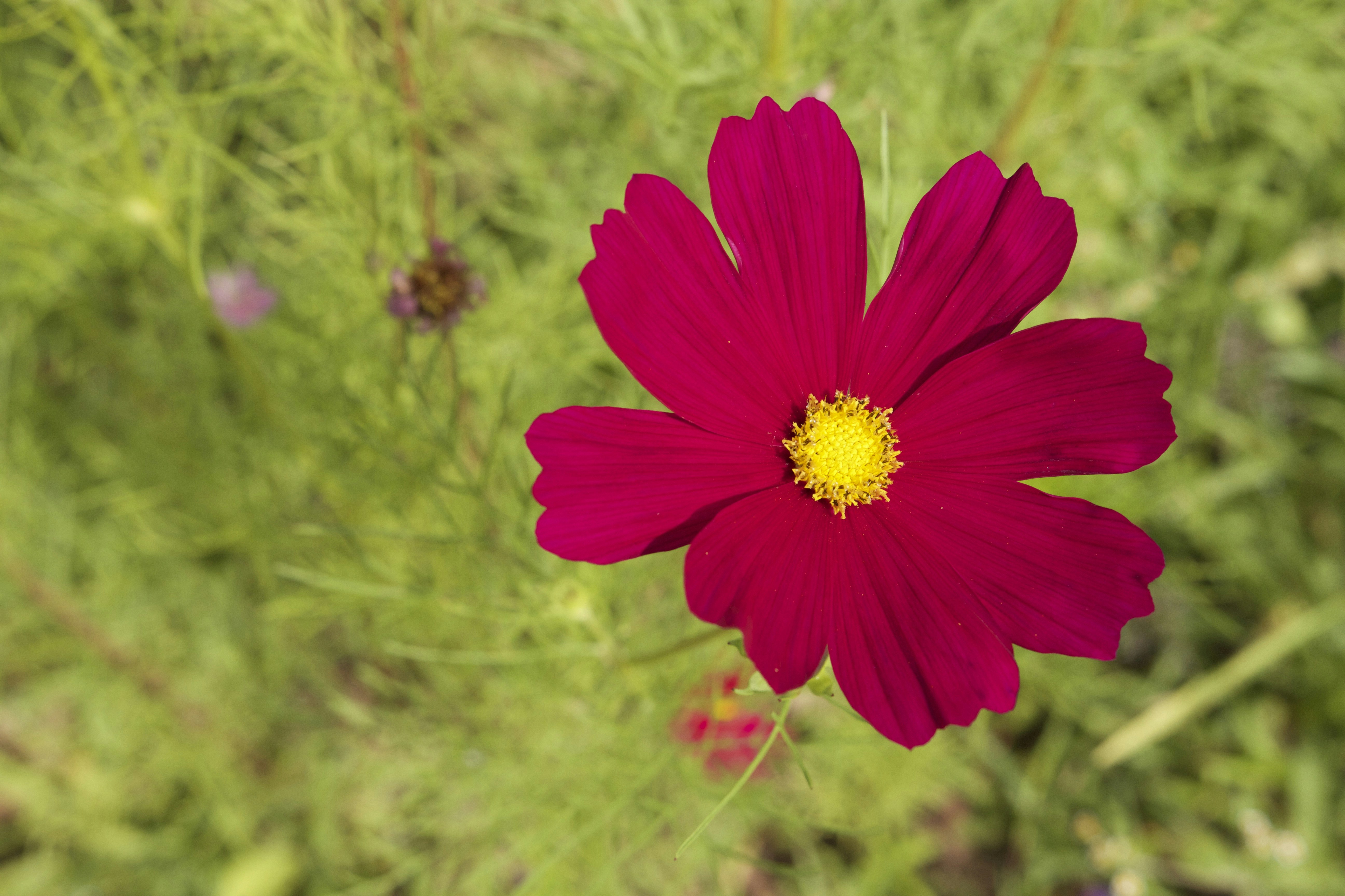 Our Friends at Cedar Mountain Cafe