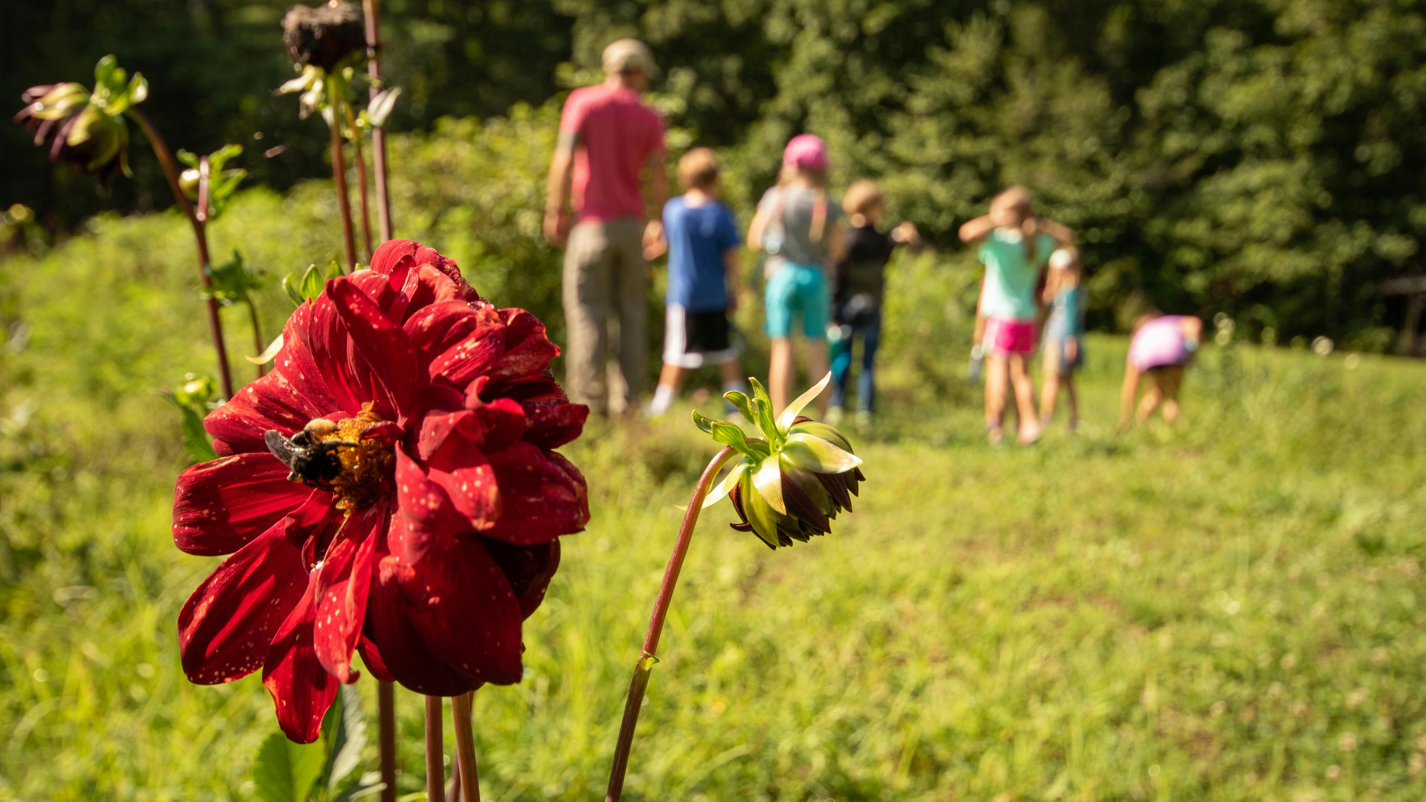 Another Day, A Million Memories