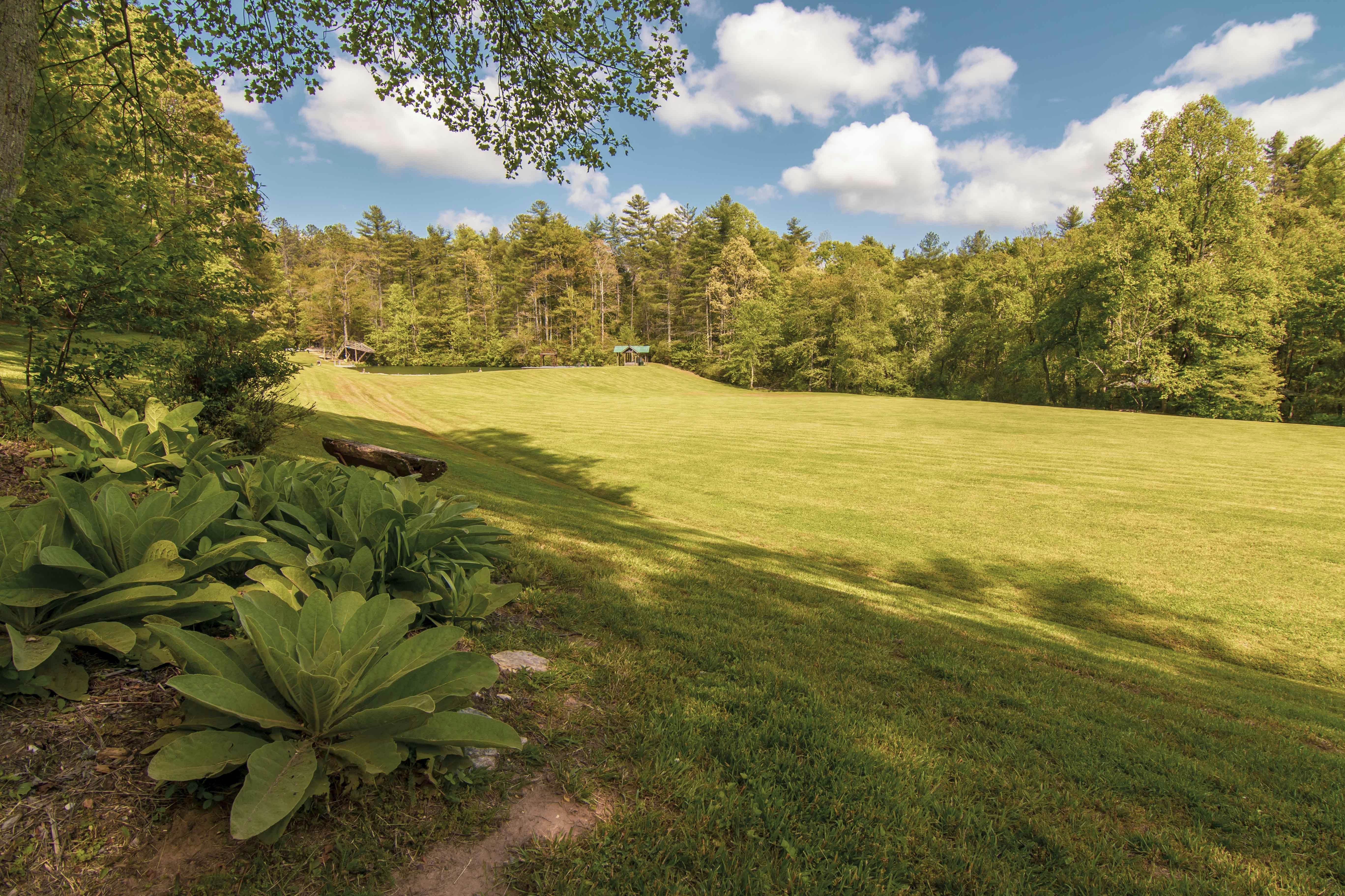 2020 Summer Announcement