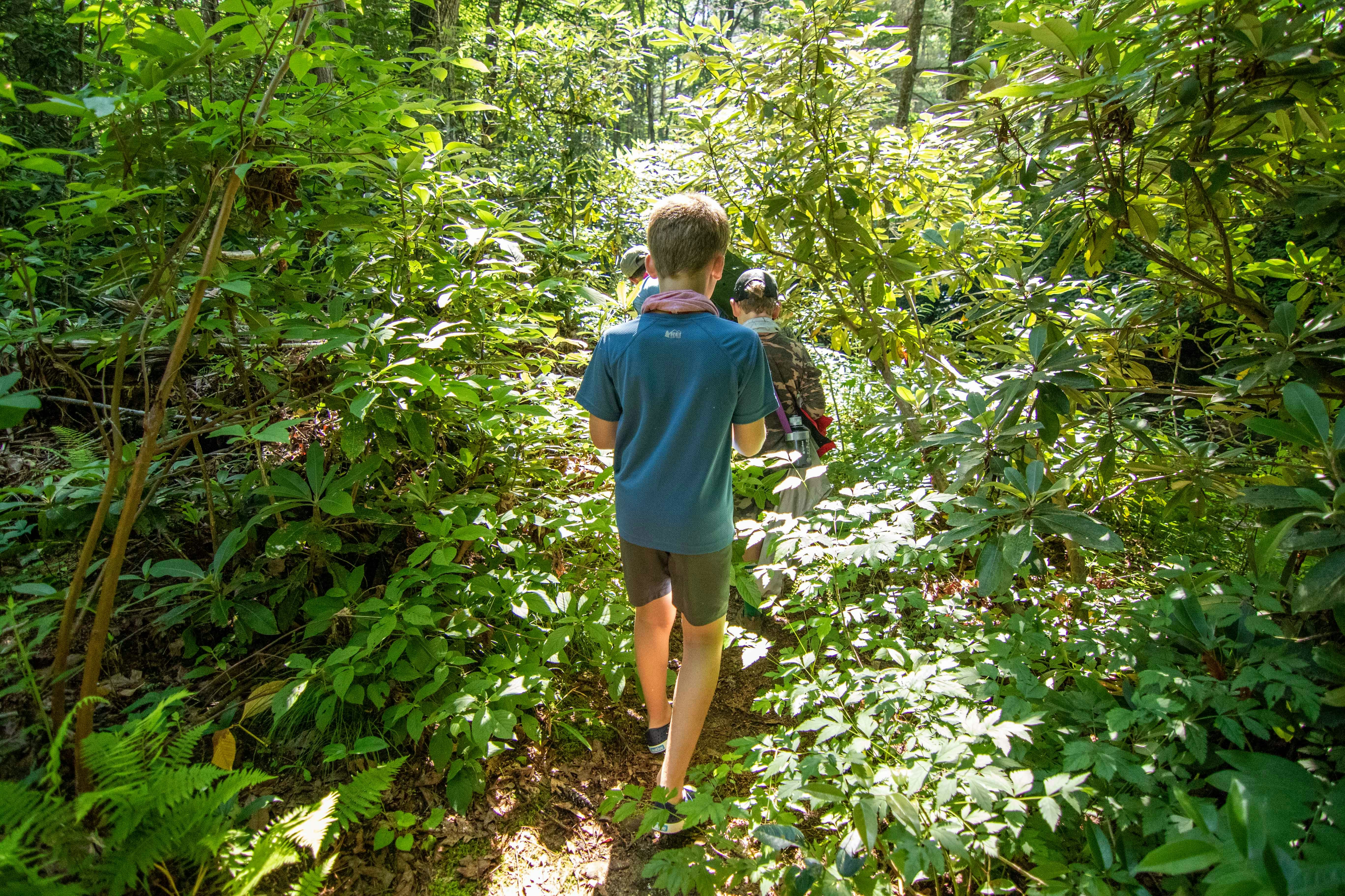 Love of the GRP Farm