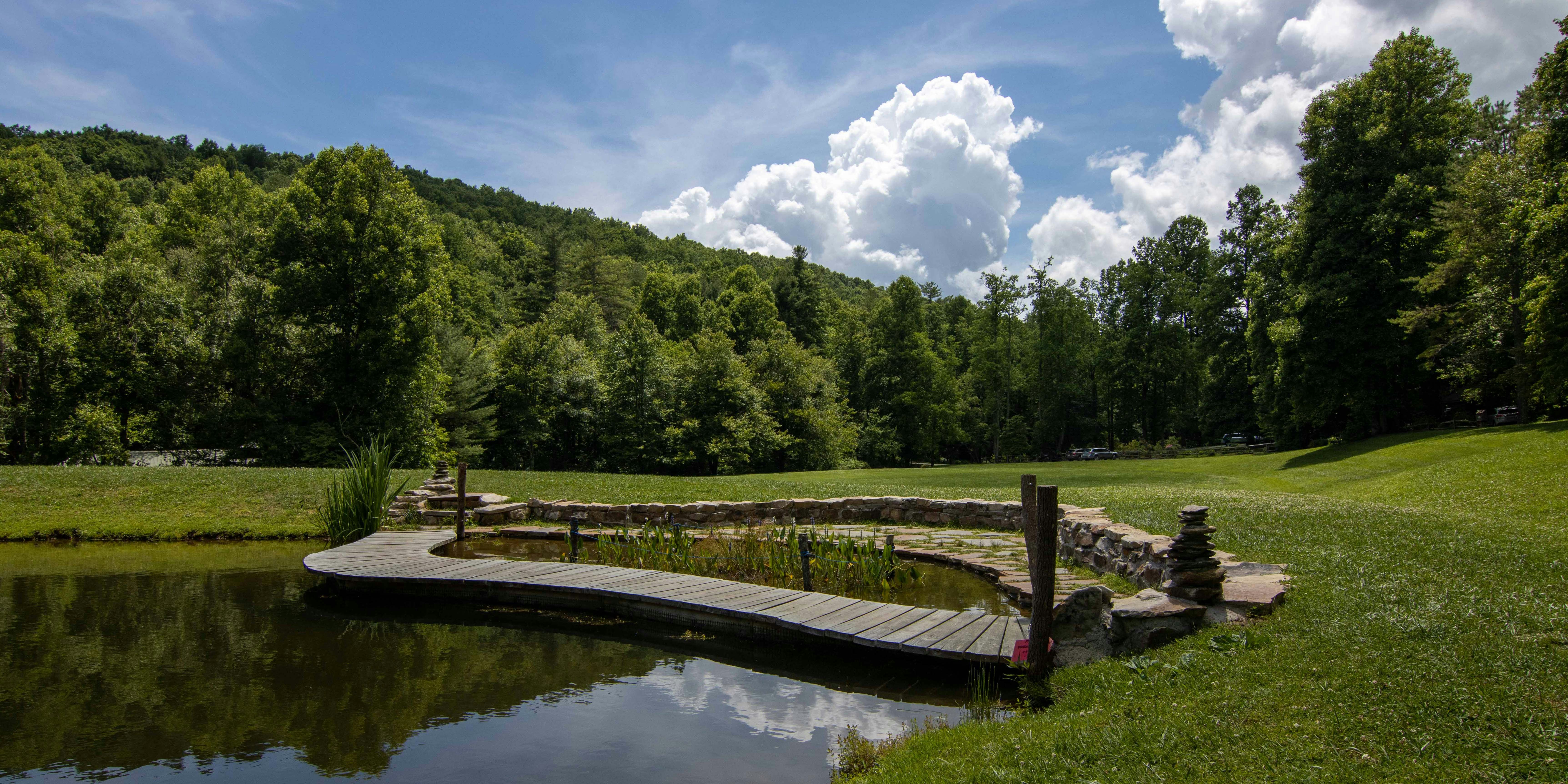 Sitting in the Wetlands