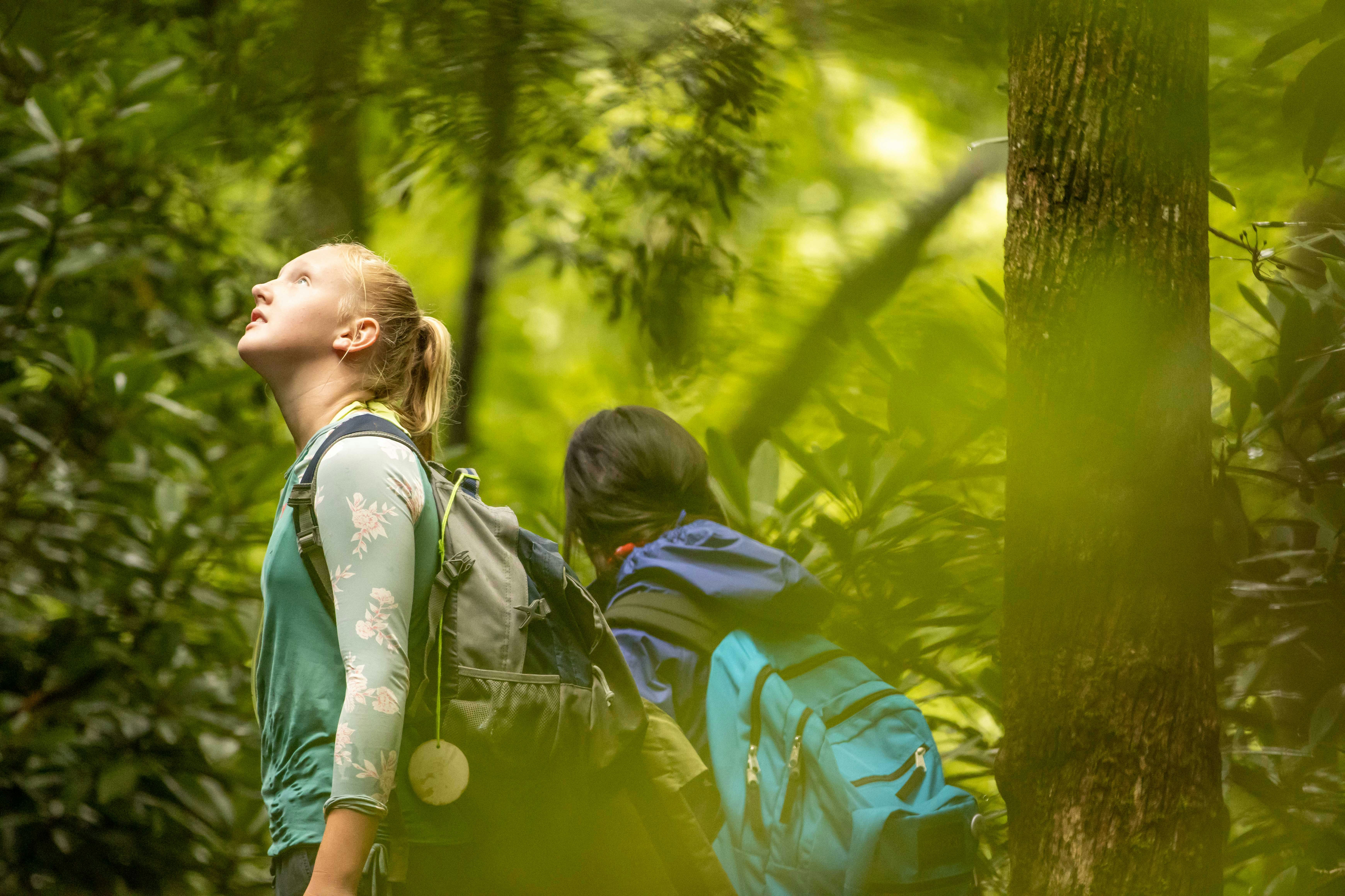 A Picturesque Morning